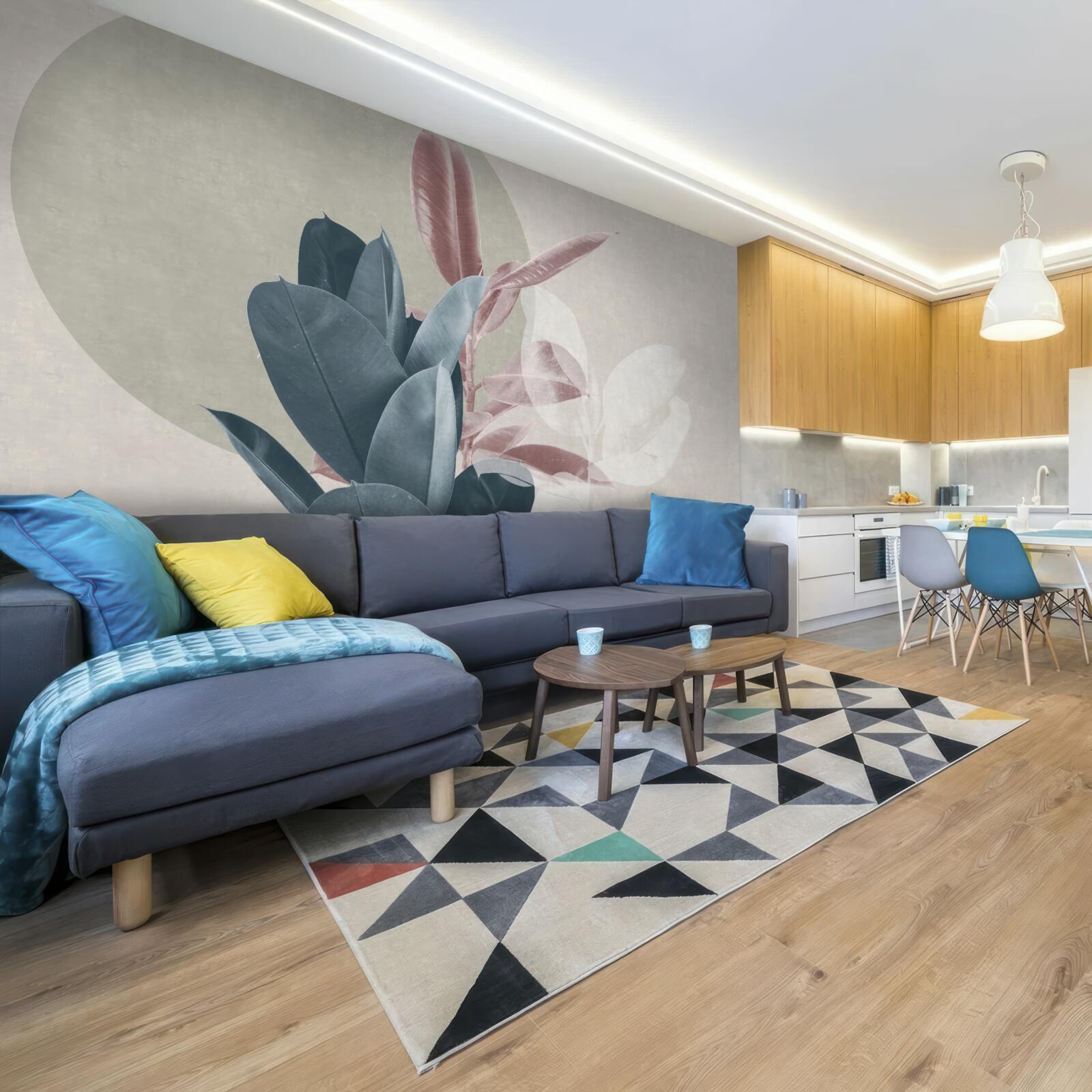 Fototapeta figovník na pozadí sivej steny