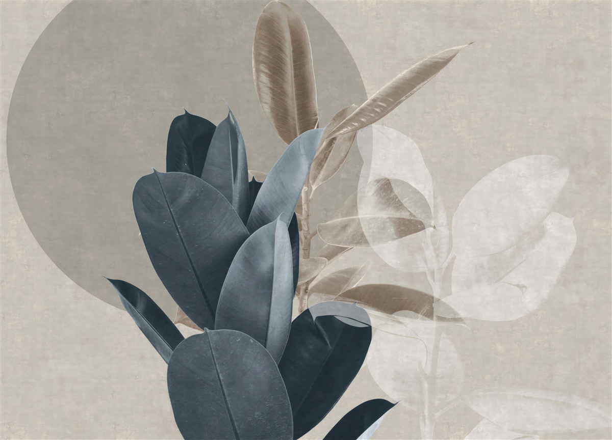 Fototapeta izbová rastlina pri stene