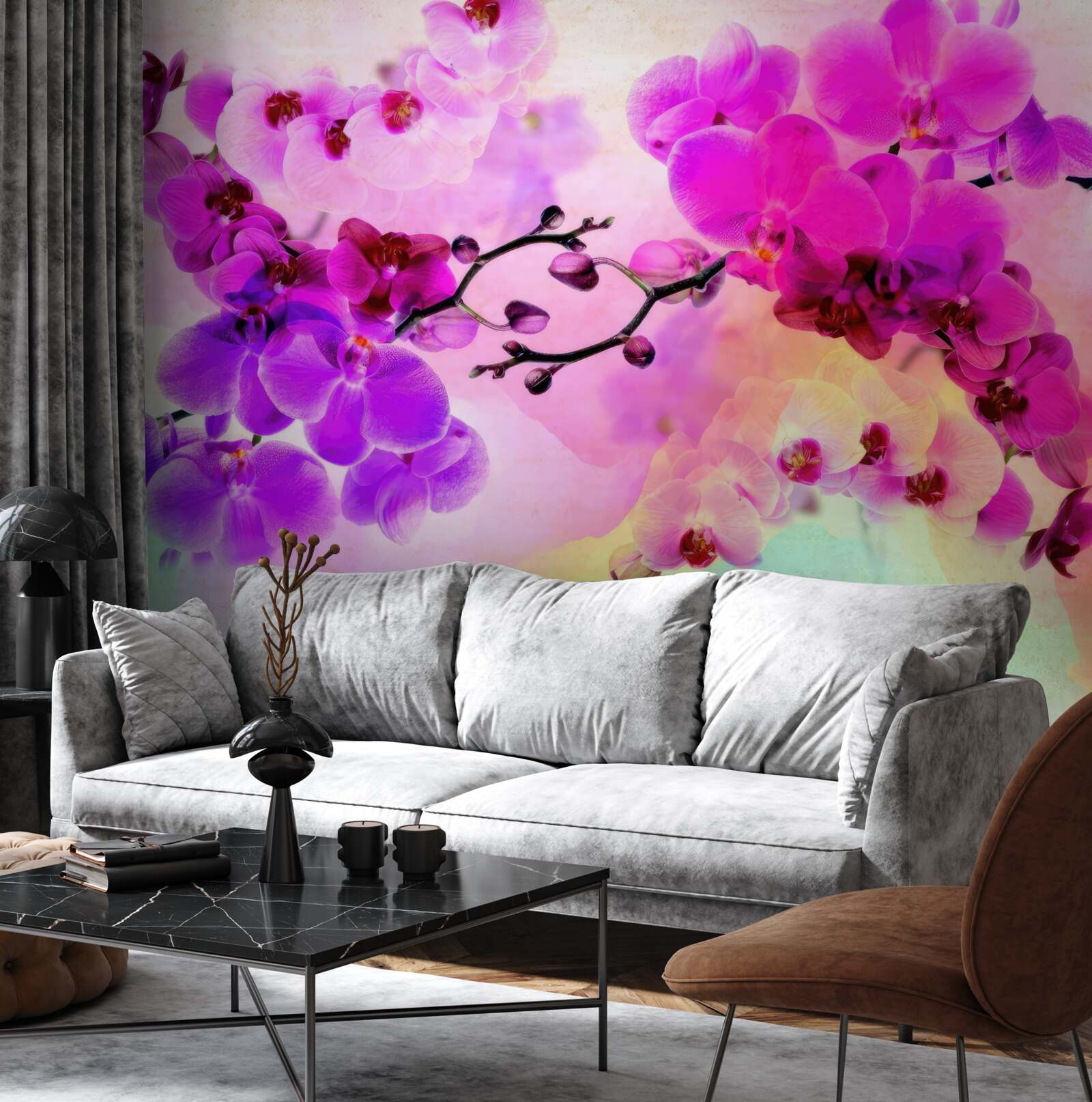 Fototapeta orchidey vo všetkých odtieňoch dúhy