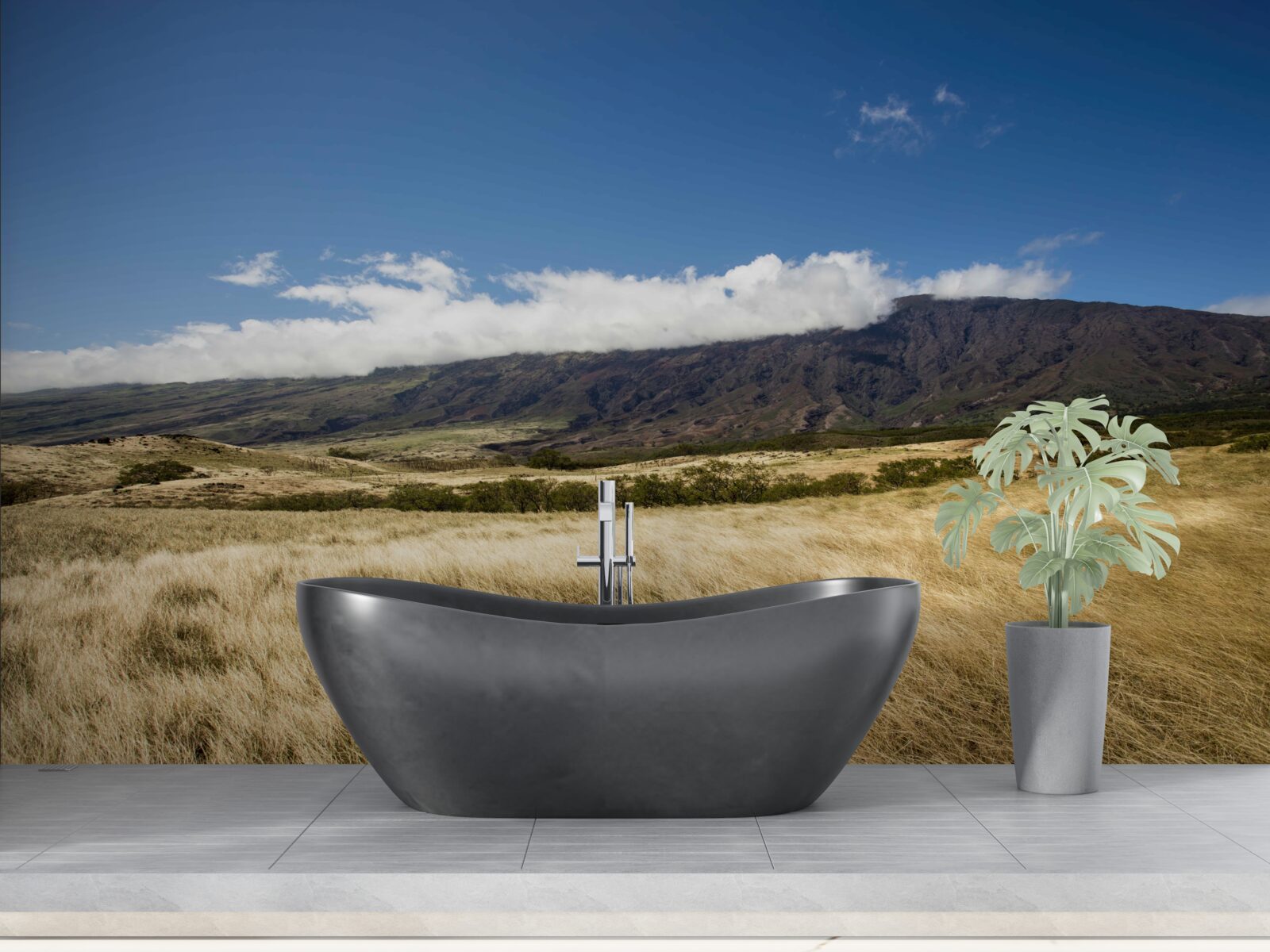 Fototapeta savana s bujnou trávou