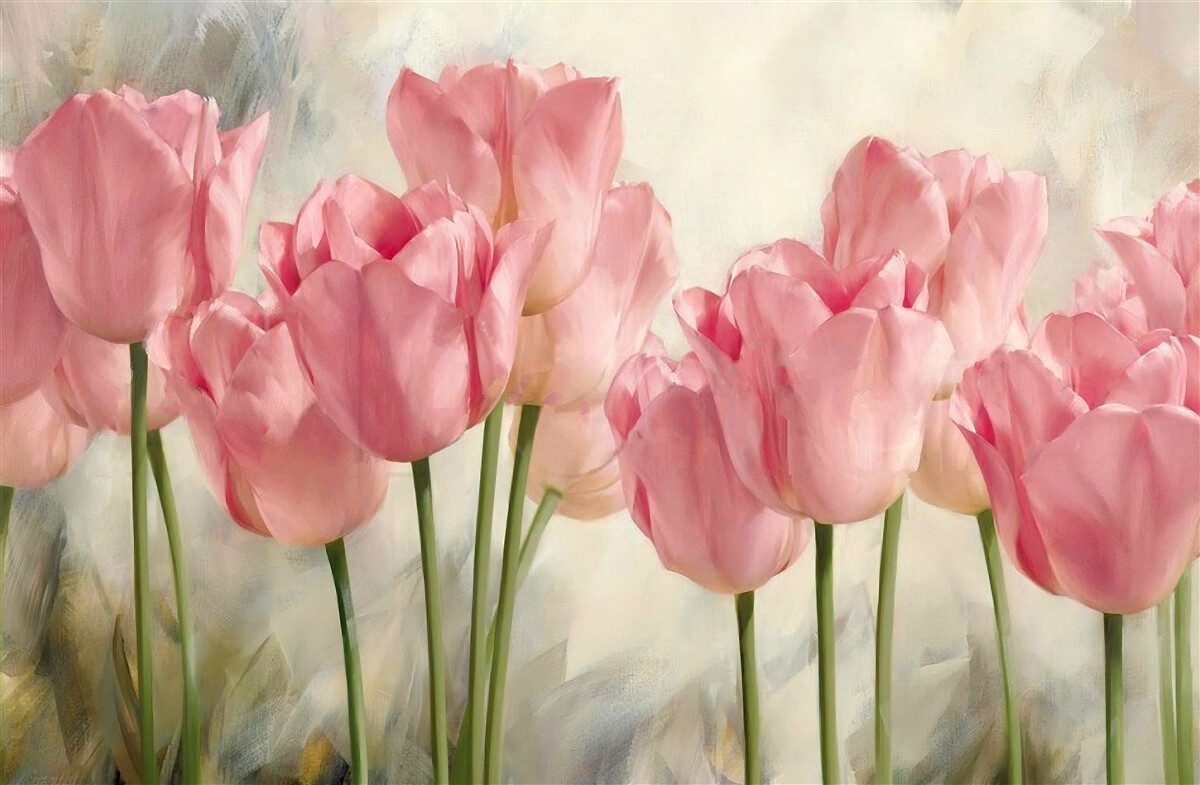 Fototapeta kvitnúce ružové tulipány