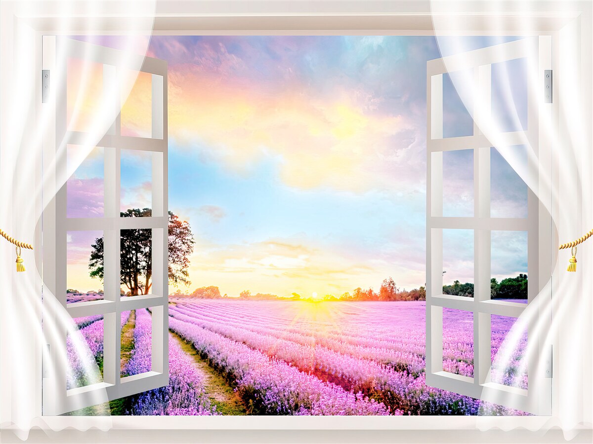 Fototapeta panoráma levanduľového poľa z okna