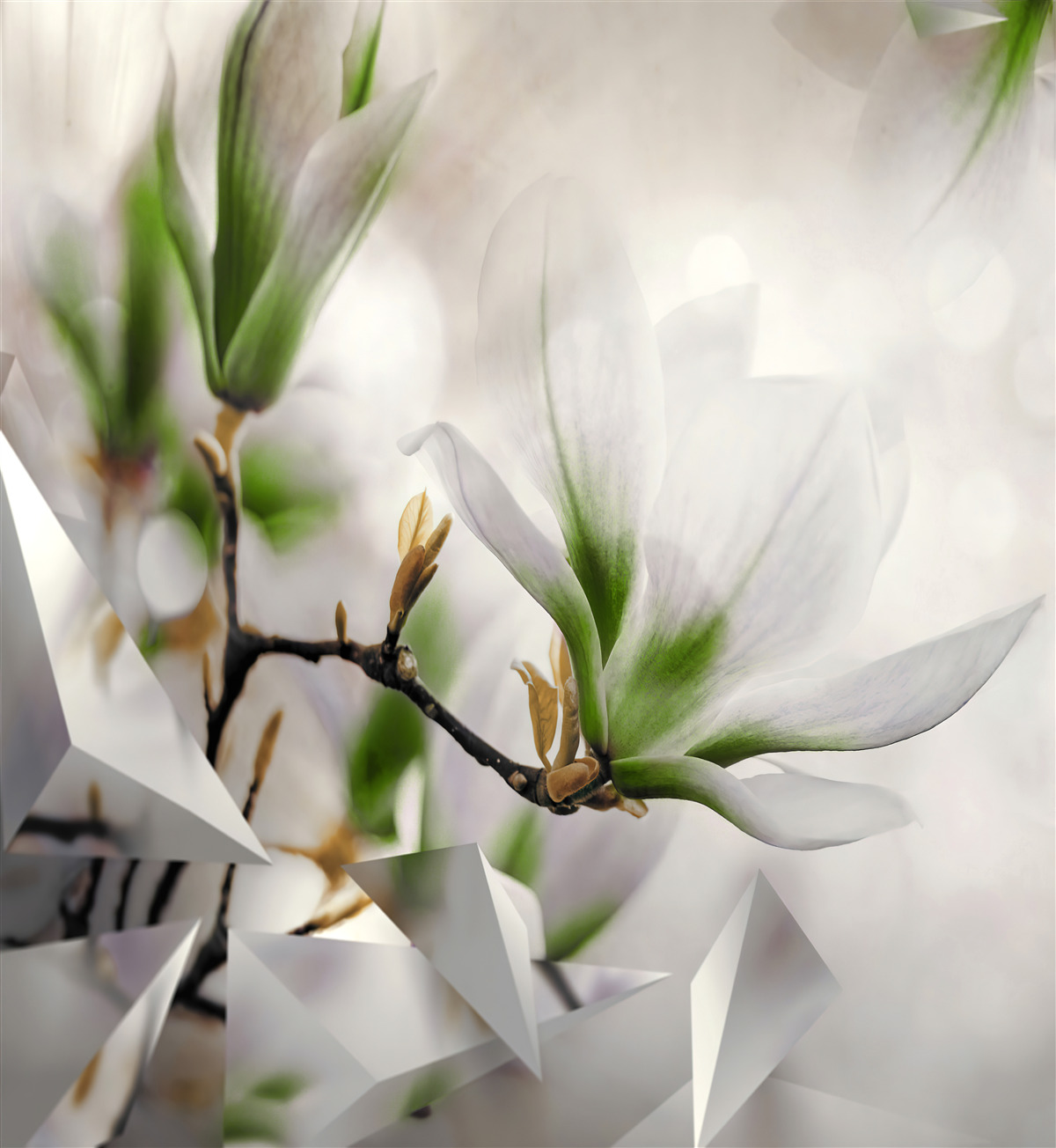 Fototapeta kvety v odtieňoch bielej a zelenej v kombinácii s geometrickými tvarmi