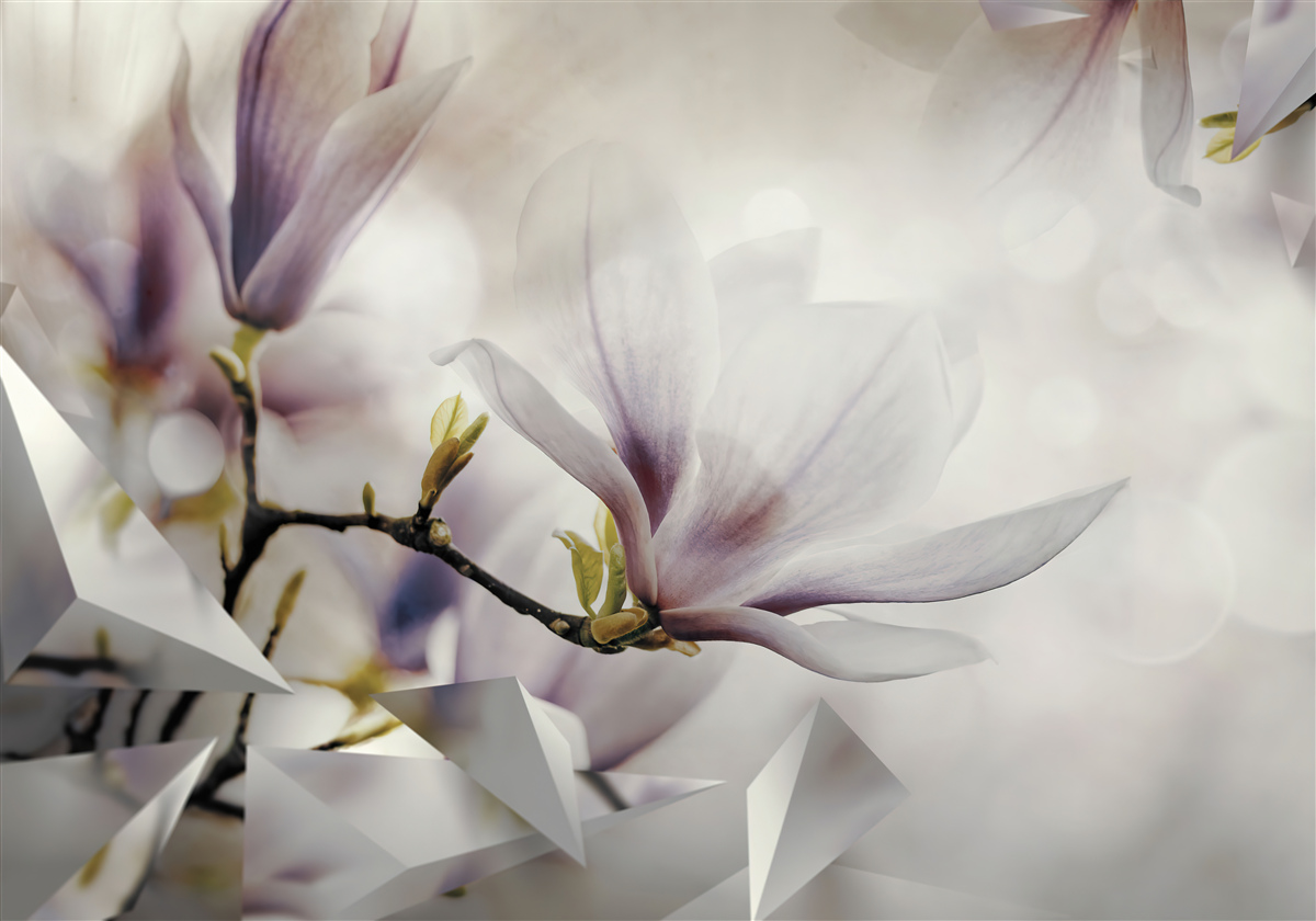 Fototapeta veľké fialové kvety a biele tvary