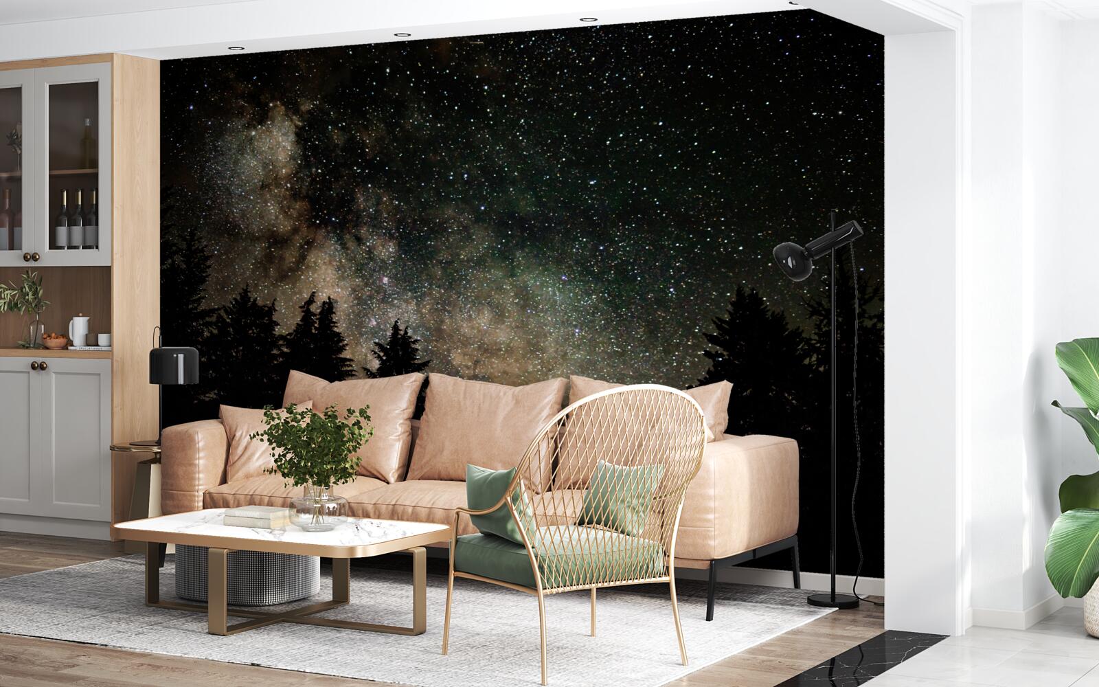 Fototapeta les v noci a hviezdna obloha