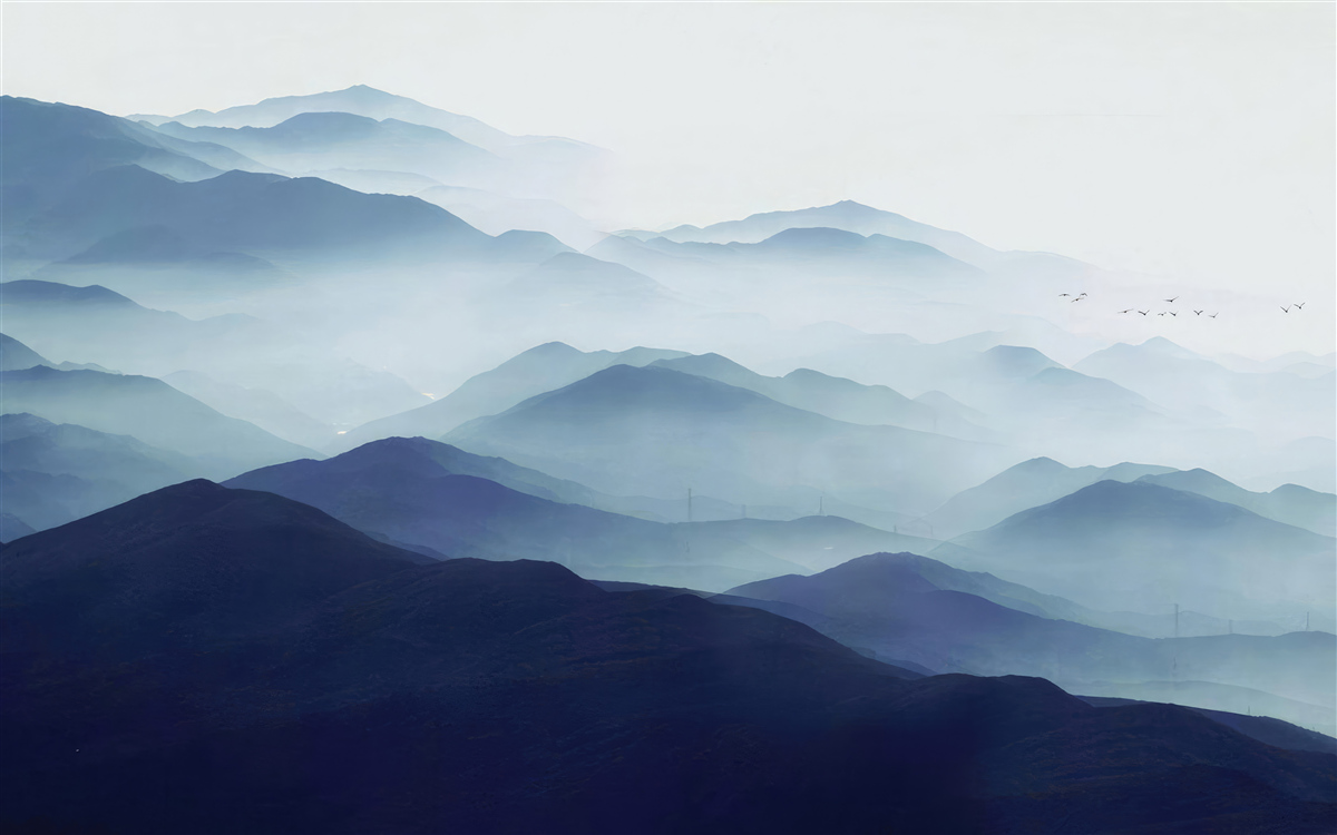 Fototapeta kopce zahalené v hustej hmle