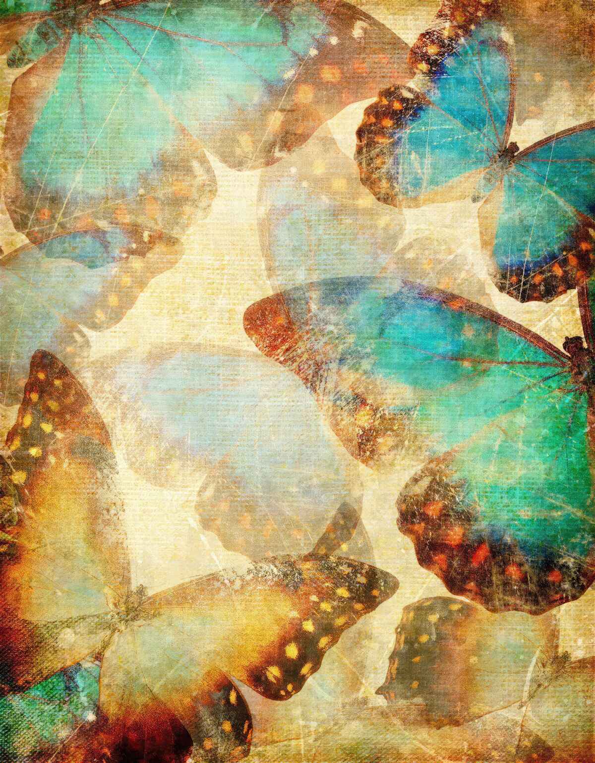 Fototapeta veľké mole