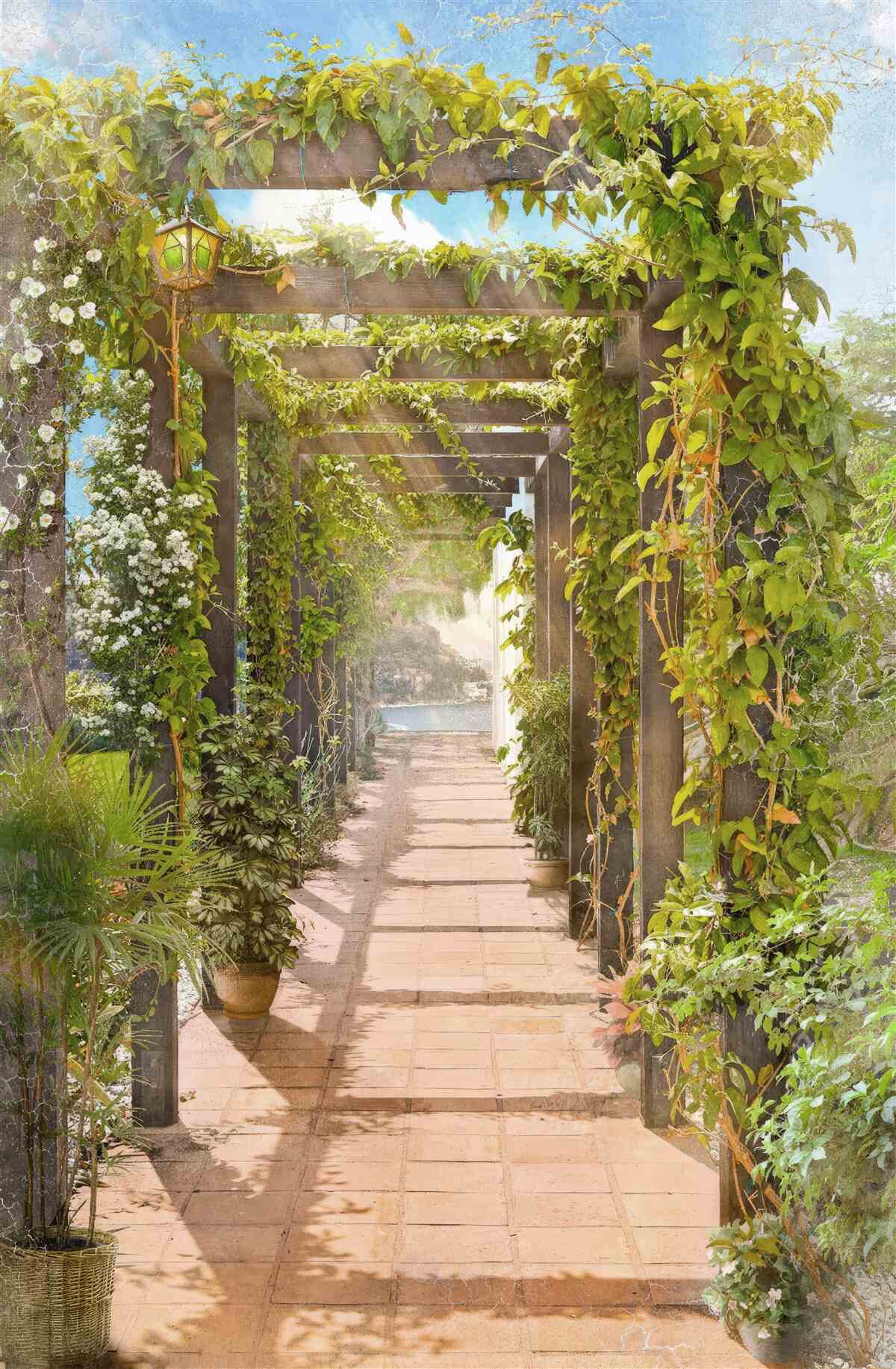 Fototapeta prechádzka spletenou zeleňou