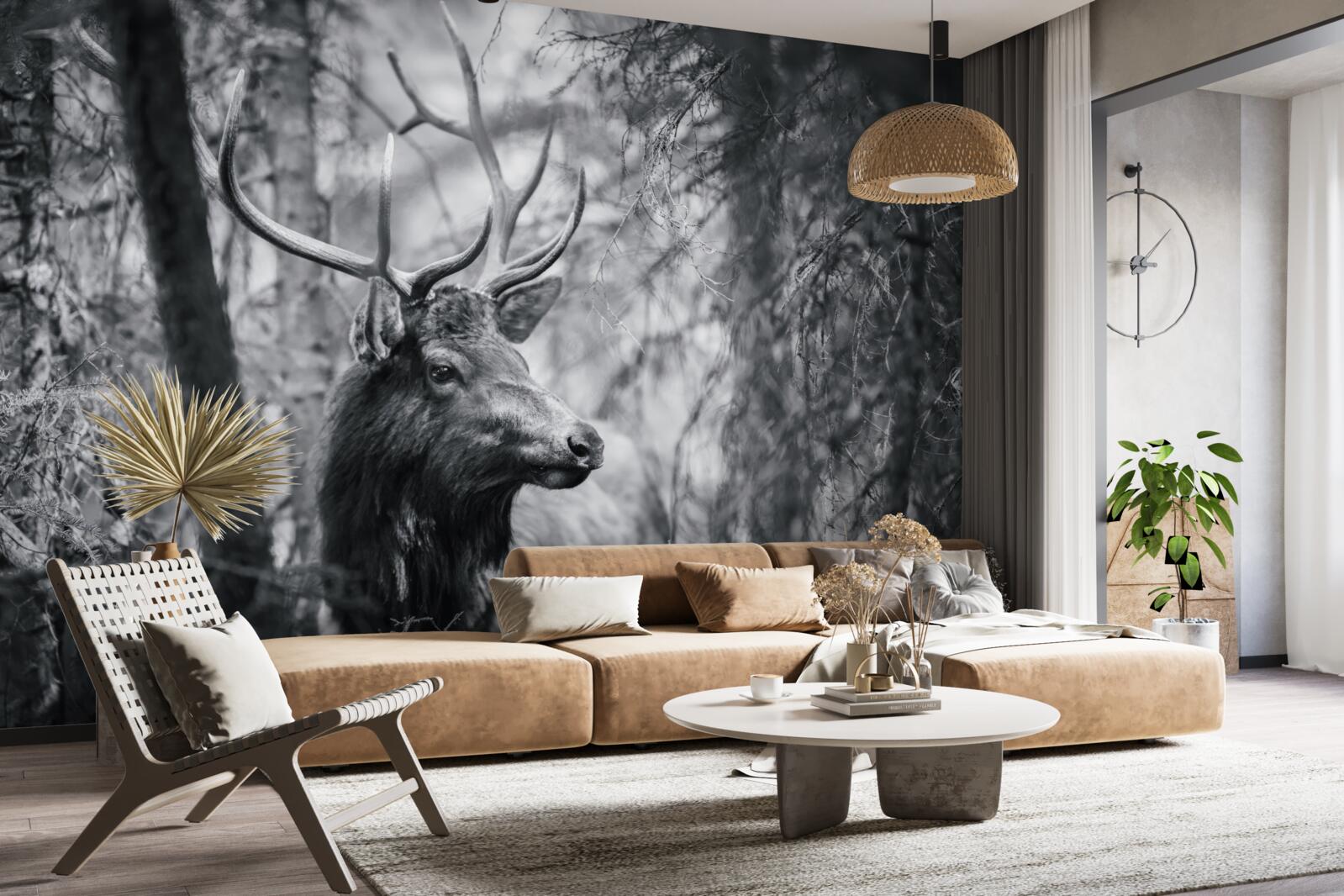 Fototapeta lesný jeleň s parožím vytvára cestu