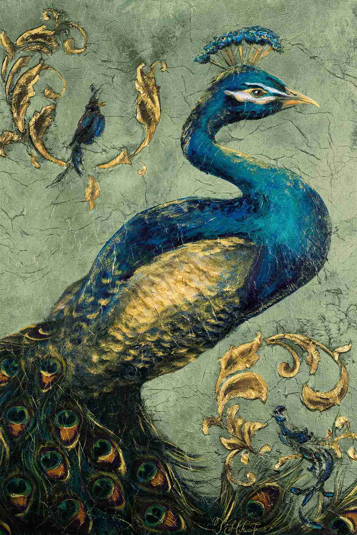 Fototapeta neuveriteľne krásny páv