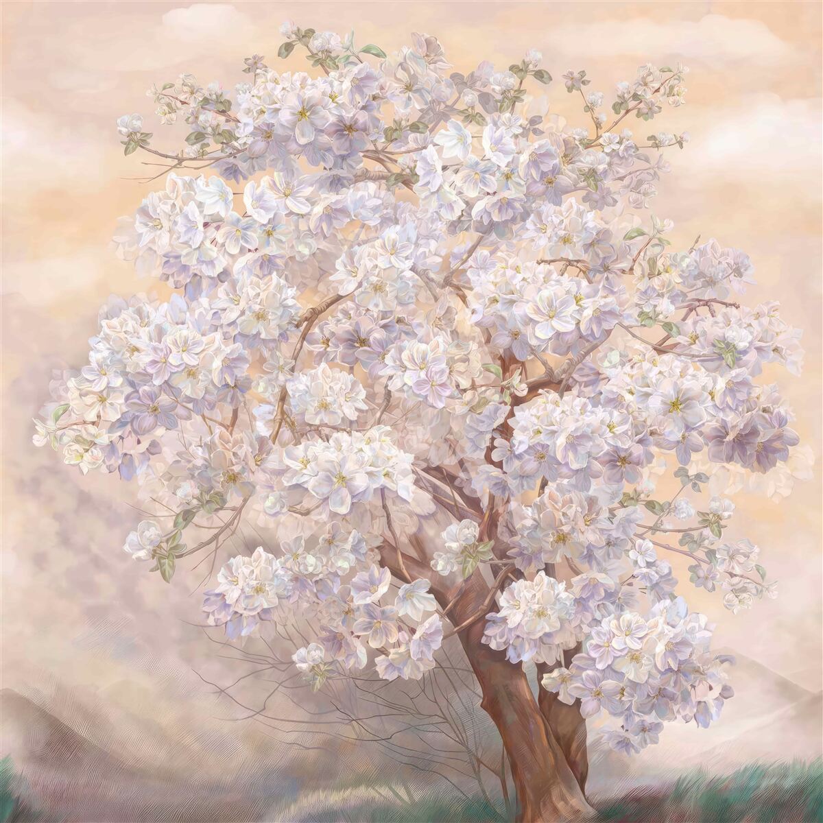 Fototapeta obrovský strom v kvete