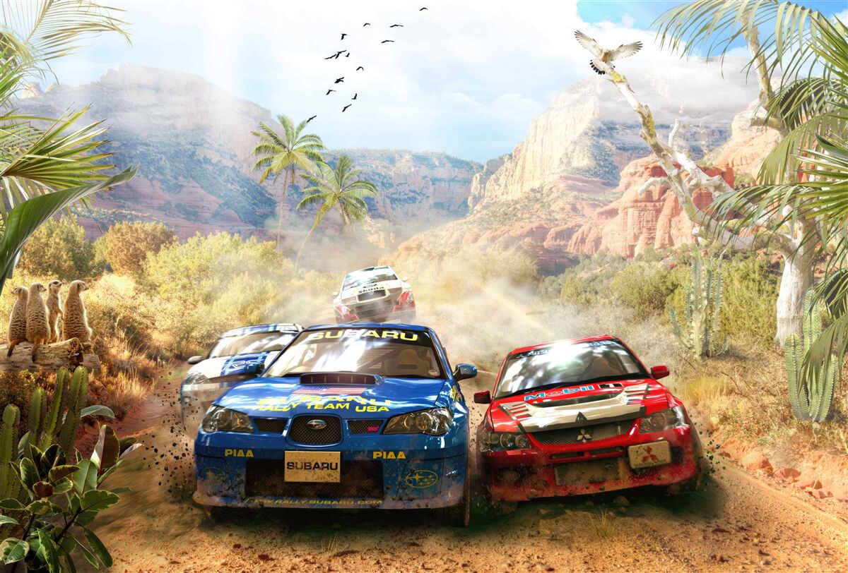 Fototapeta púštne preteky