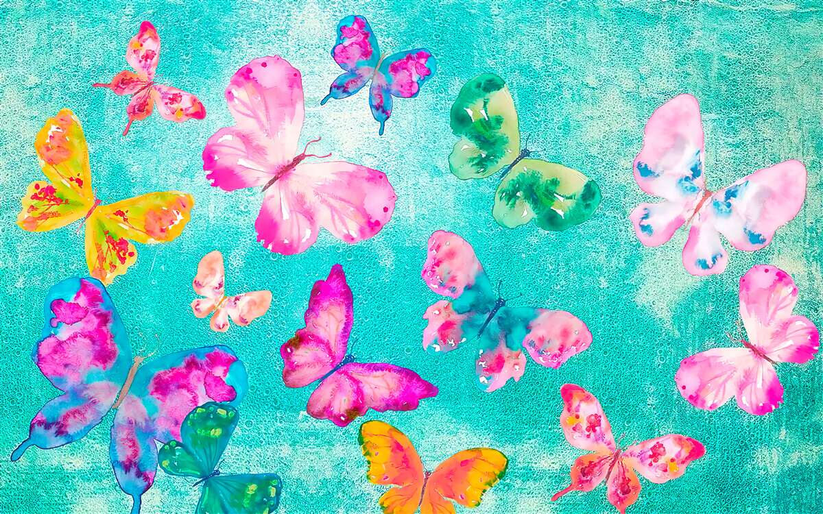 Fototapeta motýle všetkých farieb