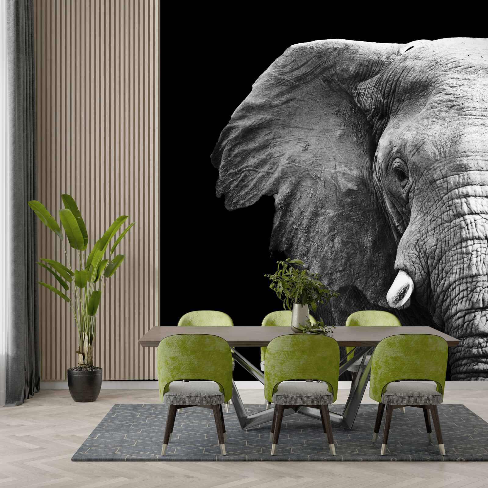 Fototapeta detailný záber slona na čiernom pozadí