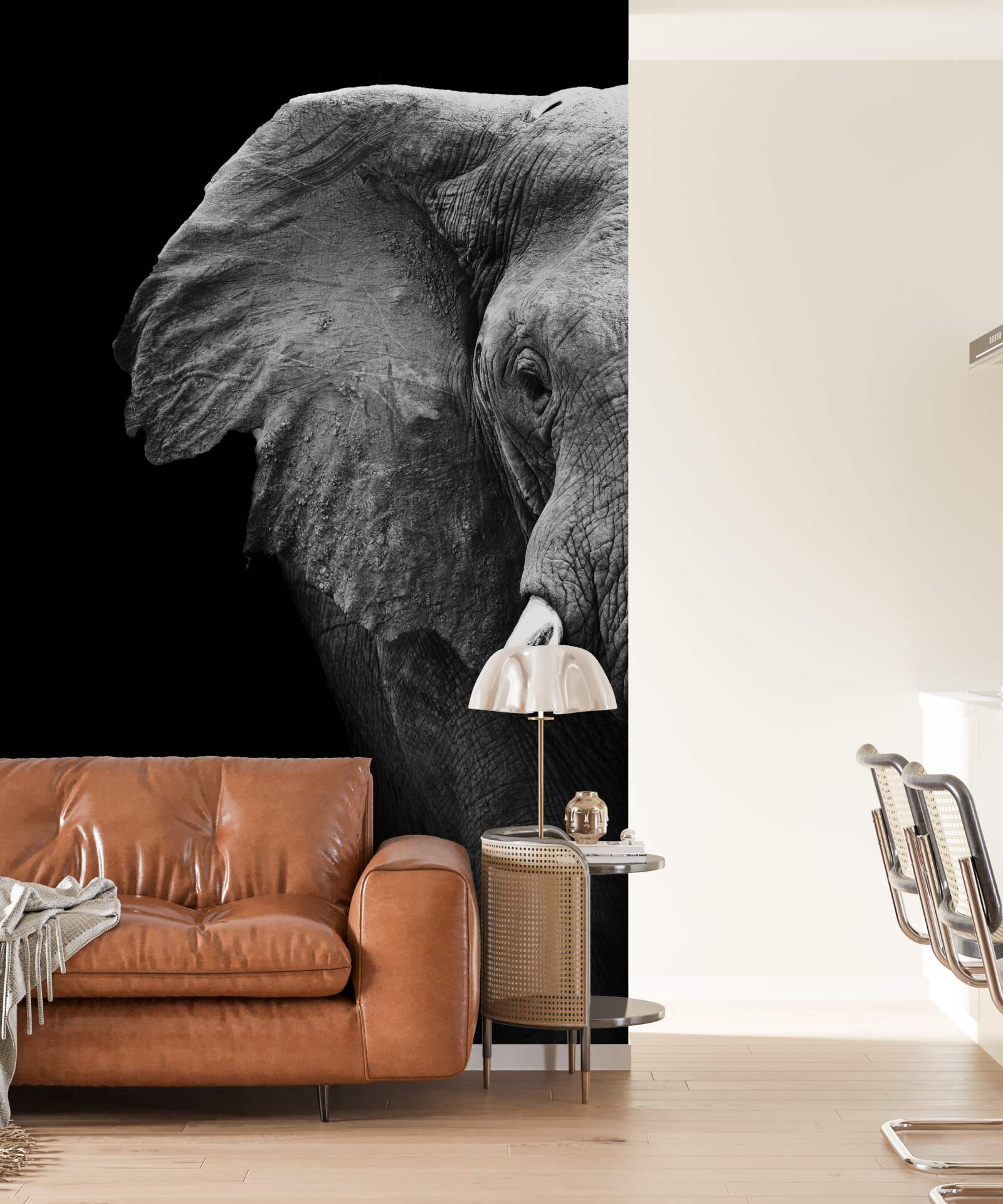 Fototapeta detailný záber slona na čiernom pozadí