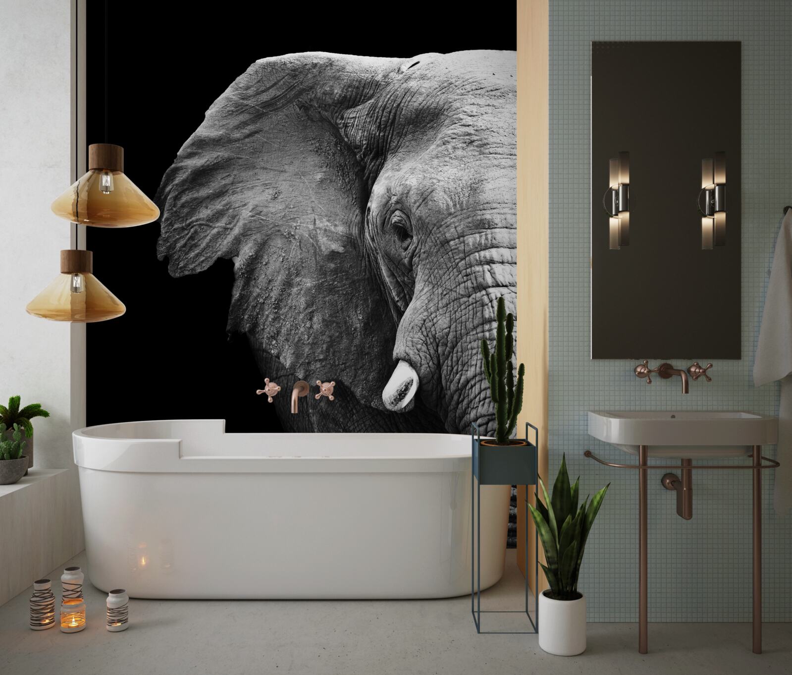 Fototapeta detailný záber slona na čiernom pozadí