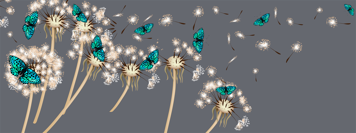 Fototapeta púpavy a motýle