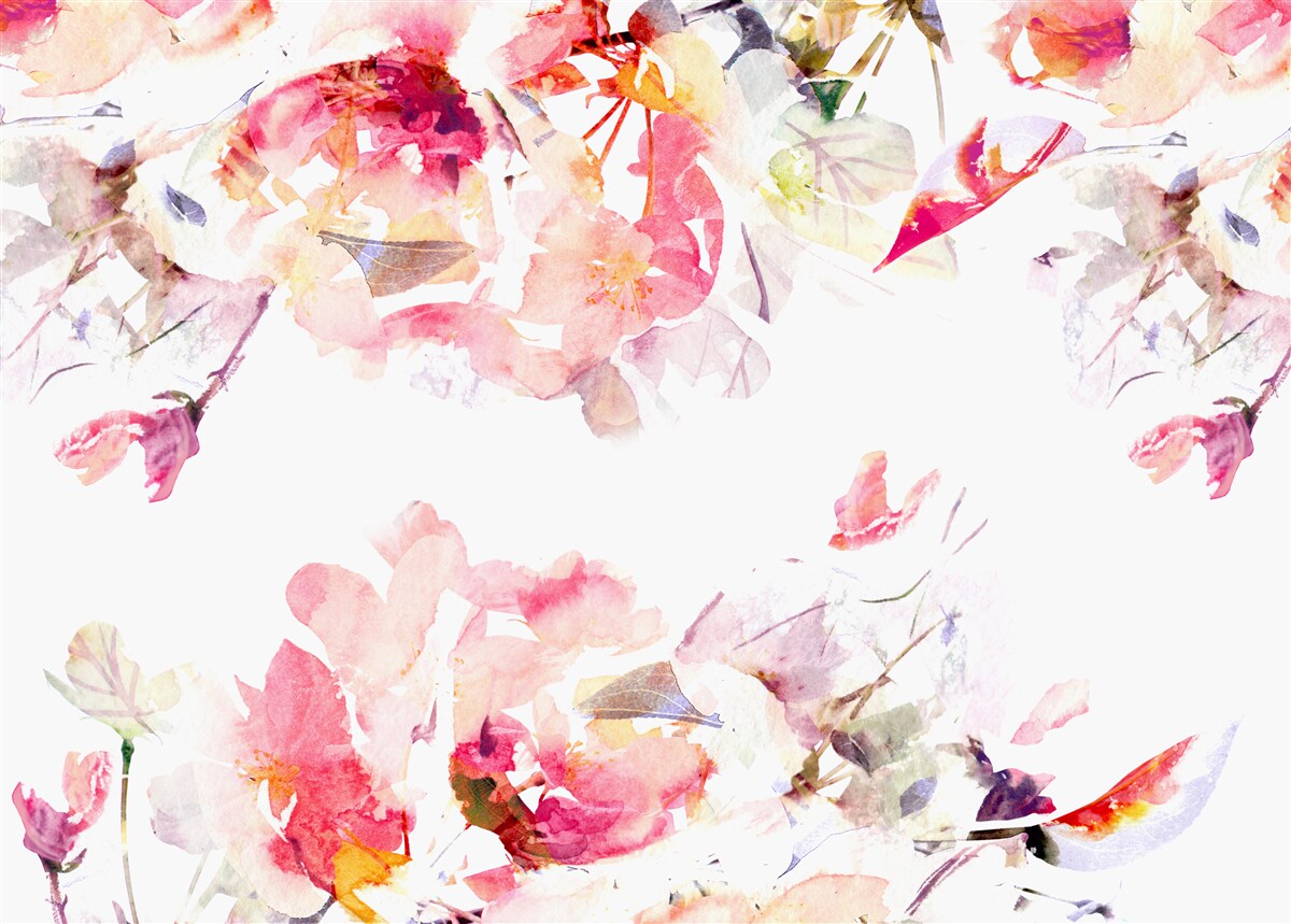 Fototapeta obrázok ružových kvetov