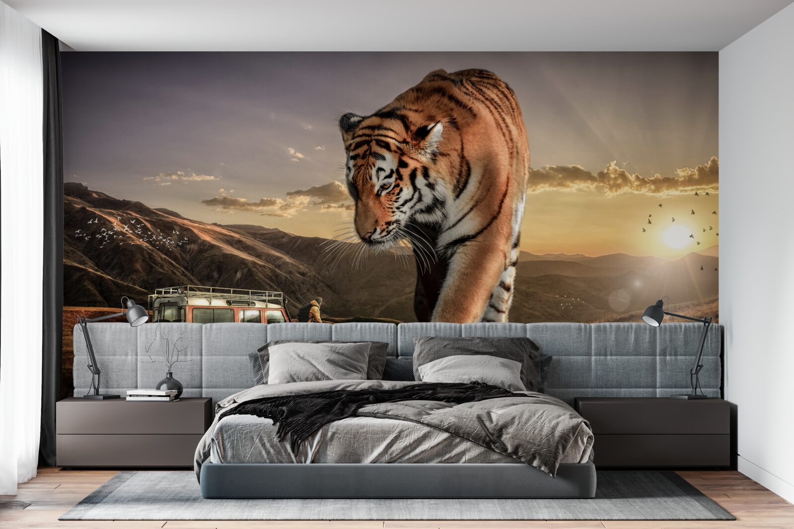 Fototapeta veľký tiger sleduje auto