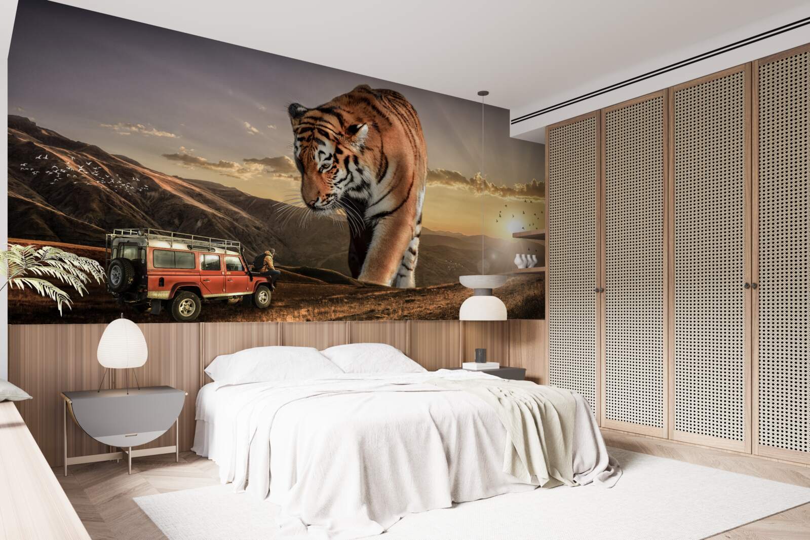 Fototapeta veľký tiger sleduje auto