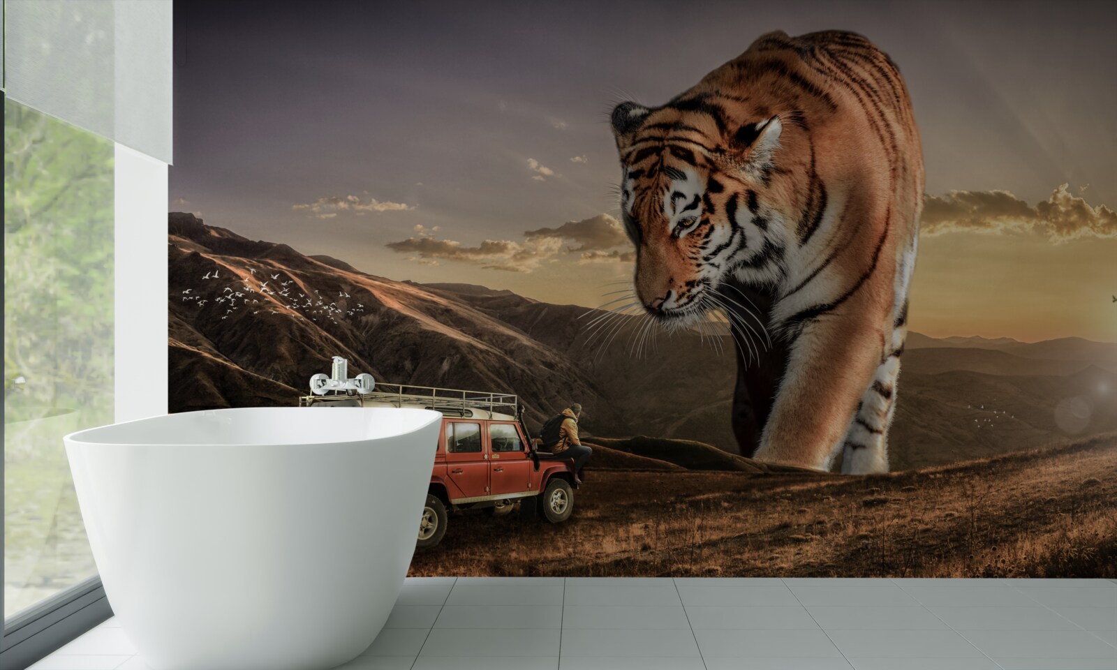 Fototapeta veľký tiger sleduje auto