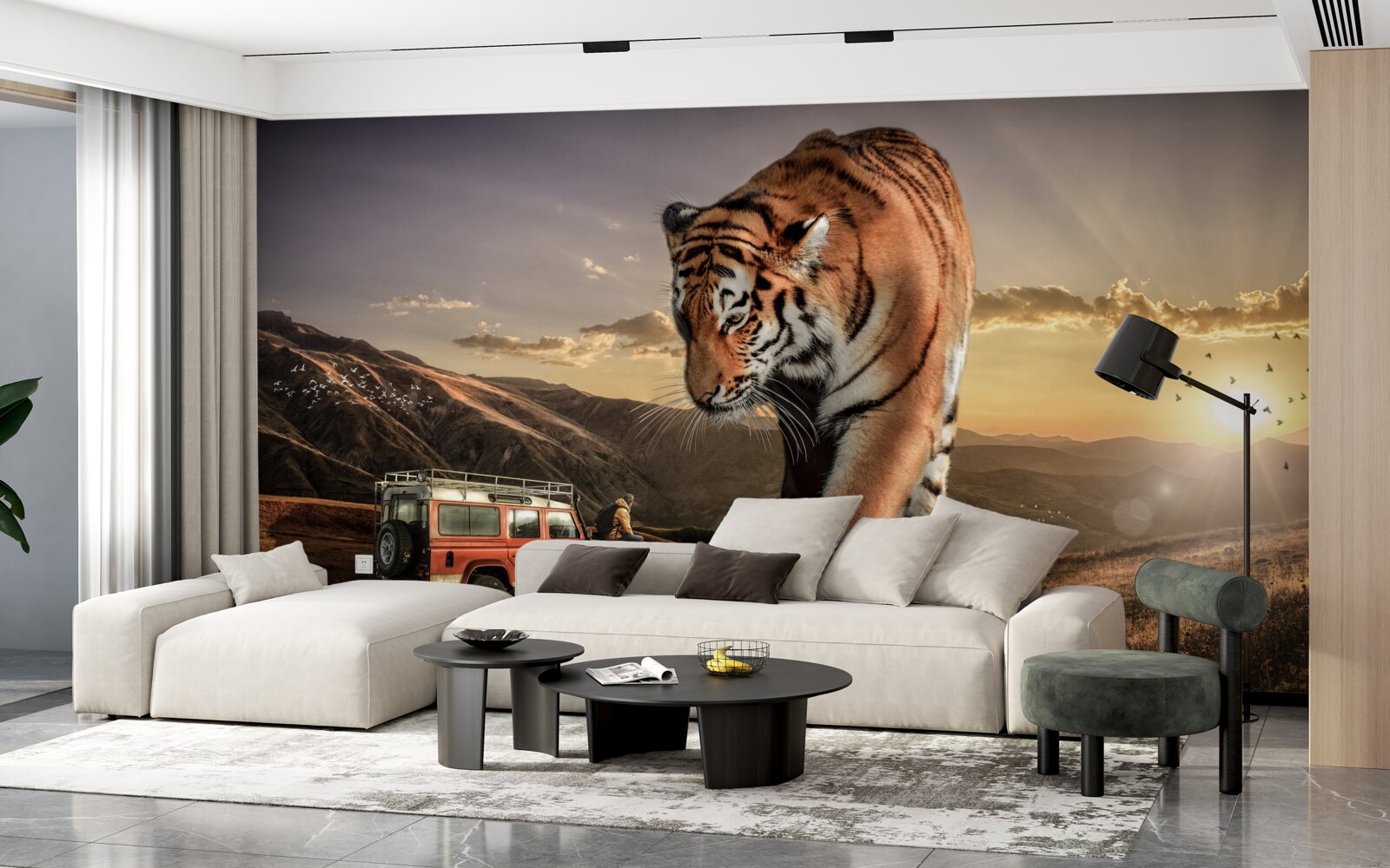 Fototapeta veľký tiger sleduje auto