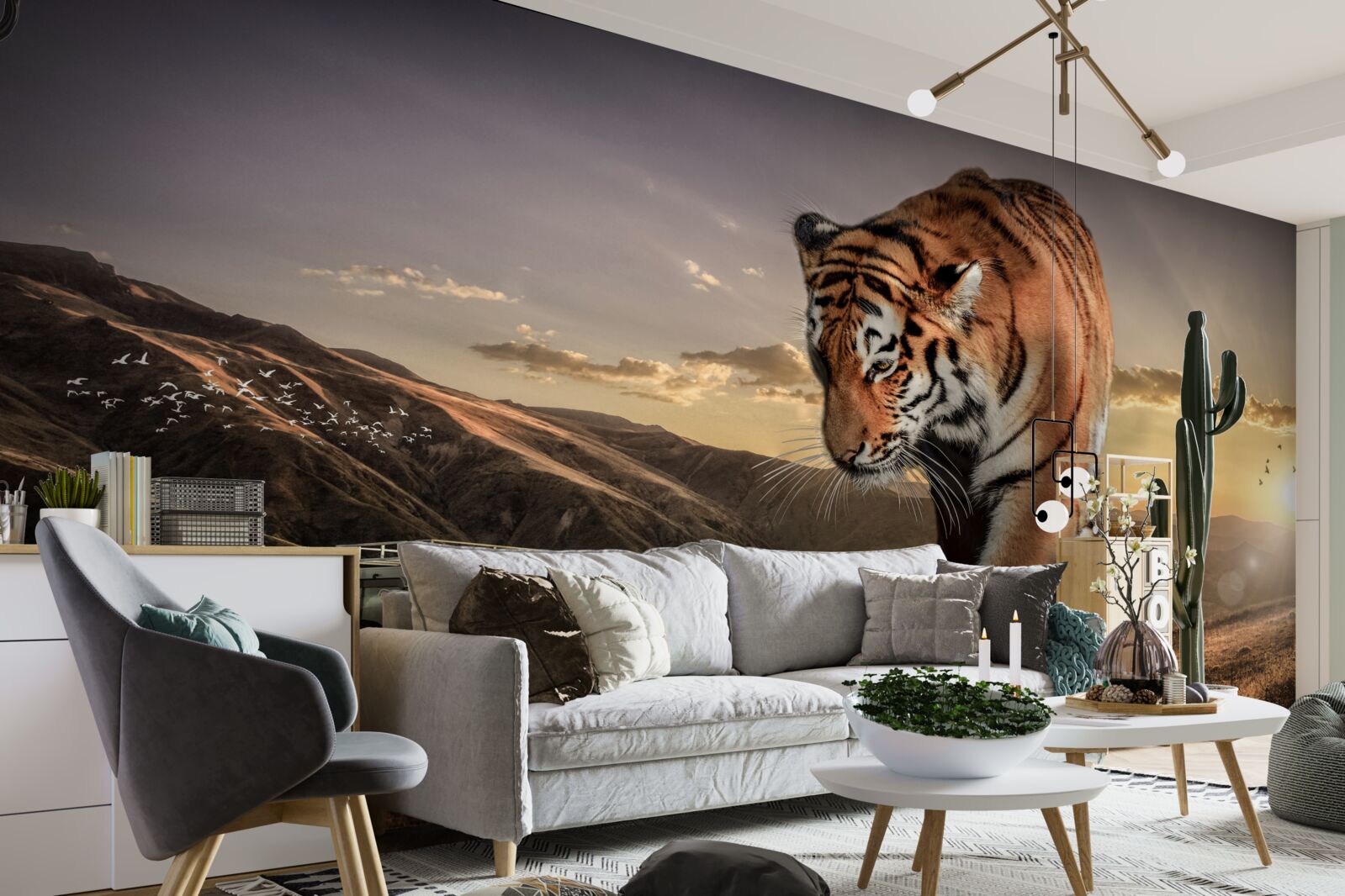 Fototapeta veľký tiger sleduje auto