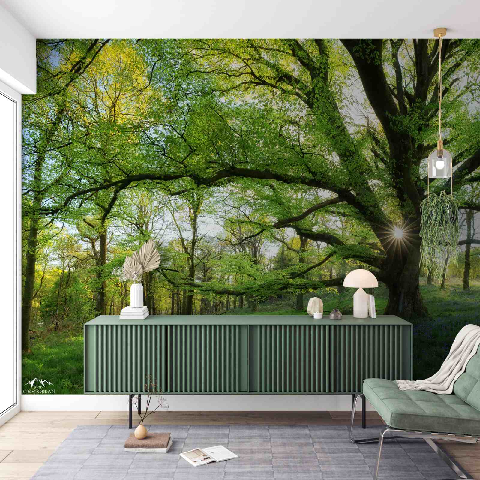 Fototapeta krásny zelený les