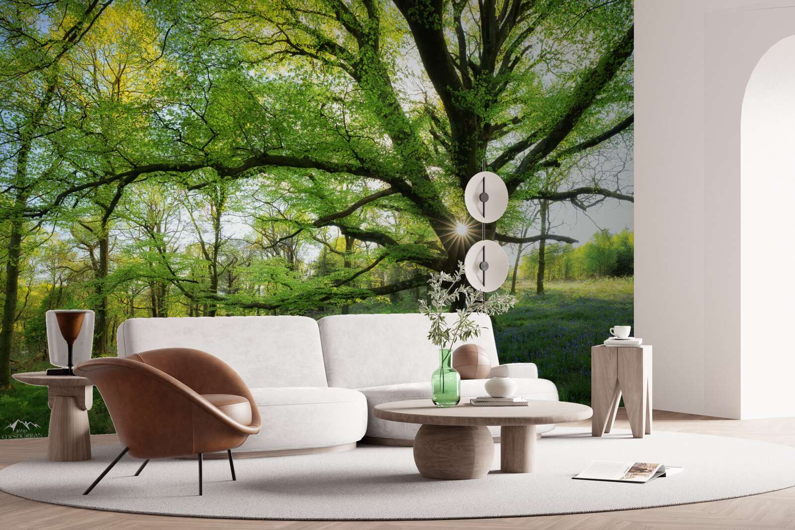 Fototapeta krásny zelený les