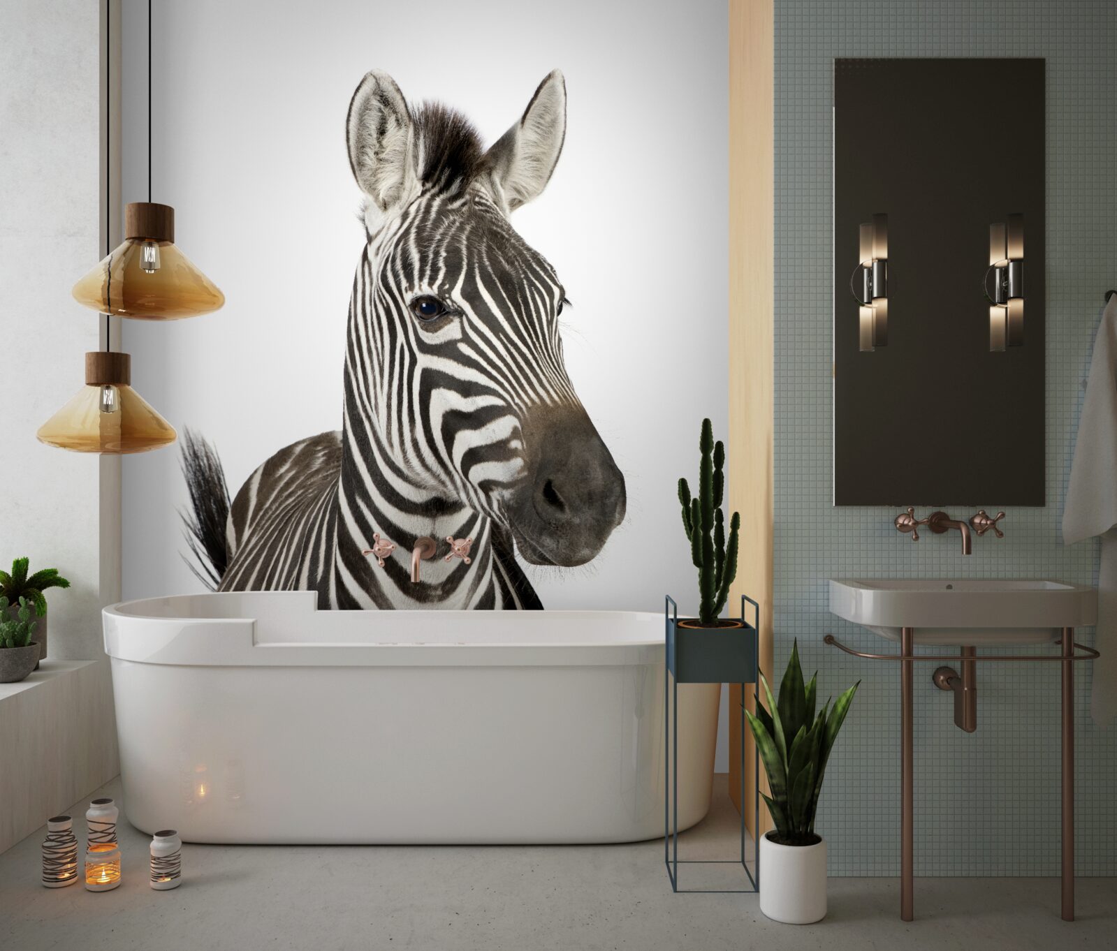 Fototapeta obrázok zebry