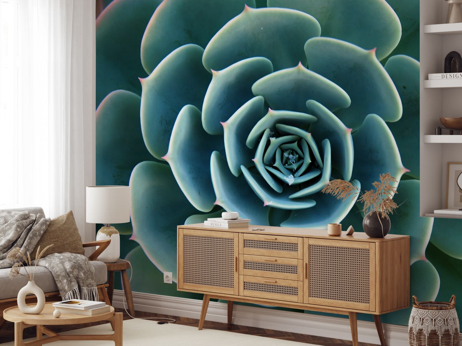 Fototapeta detailný obraz sukulentu