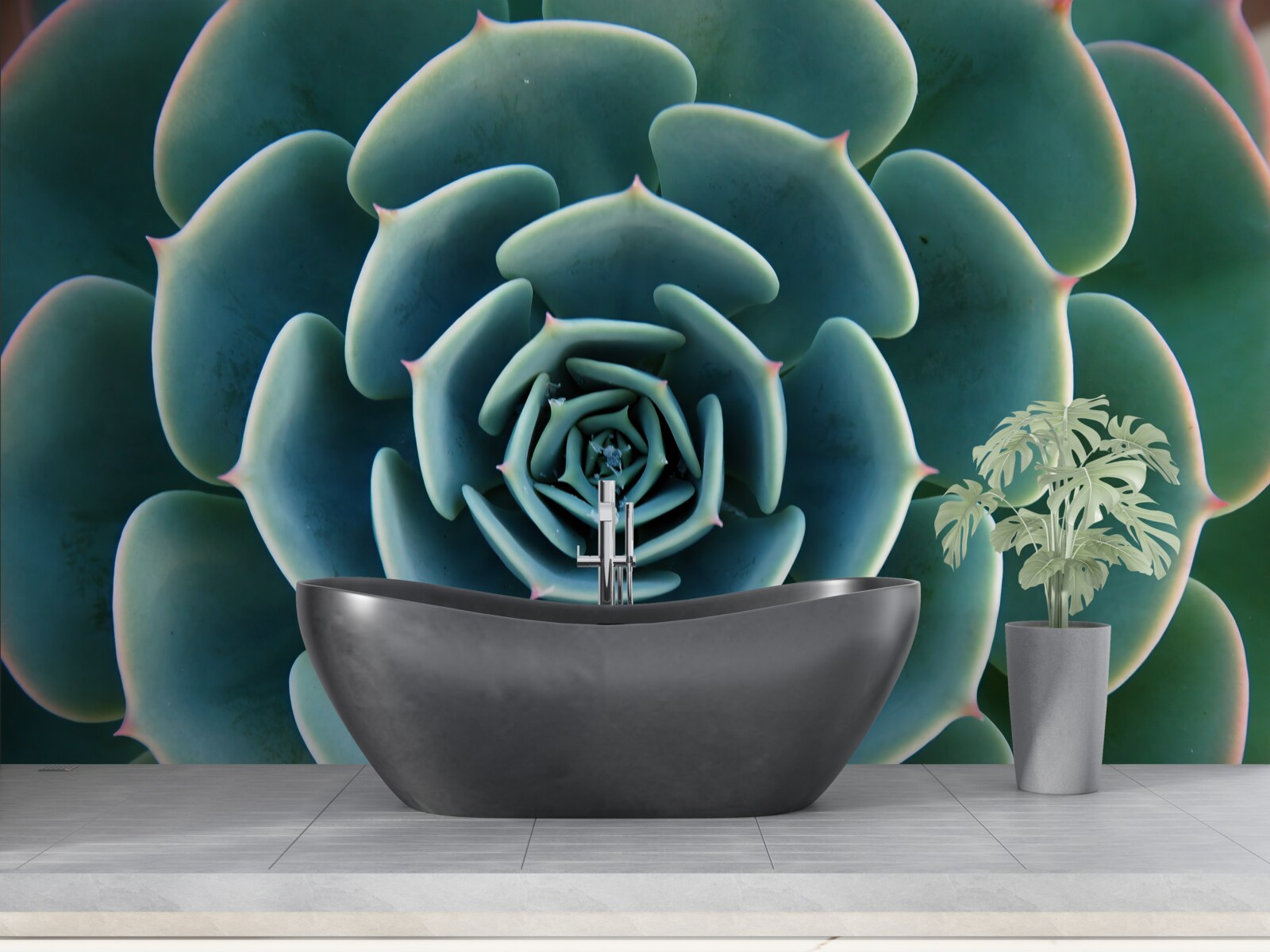 Fototapeta detailný obraz sukulentu