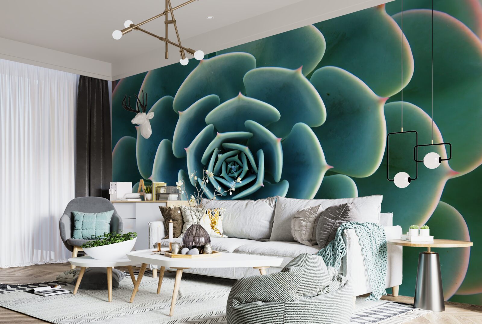 Fototapeta detailný obraz sukulentu