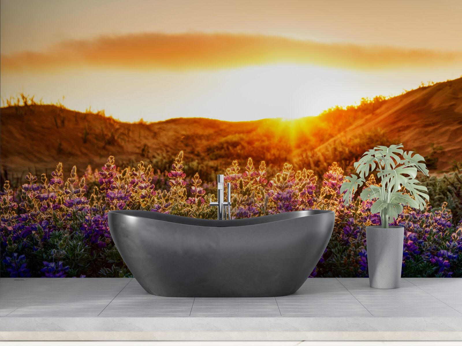 Fototapeta poľné kvety na pozadí zapadajúceho slnka