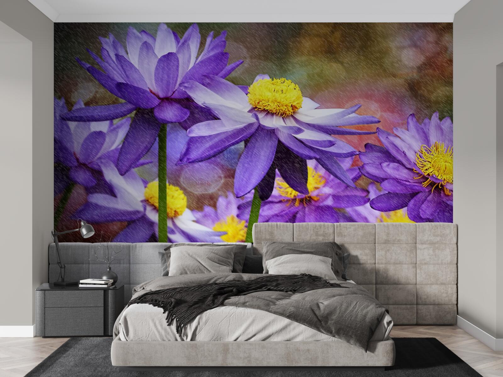 Fototapeta fialové kvety so žltým stredom
