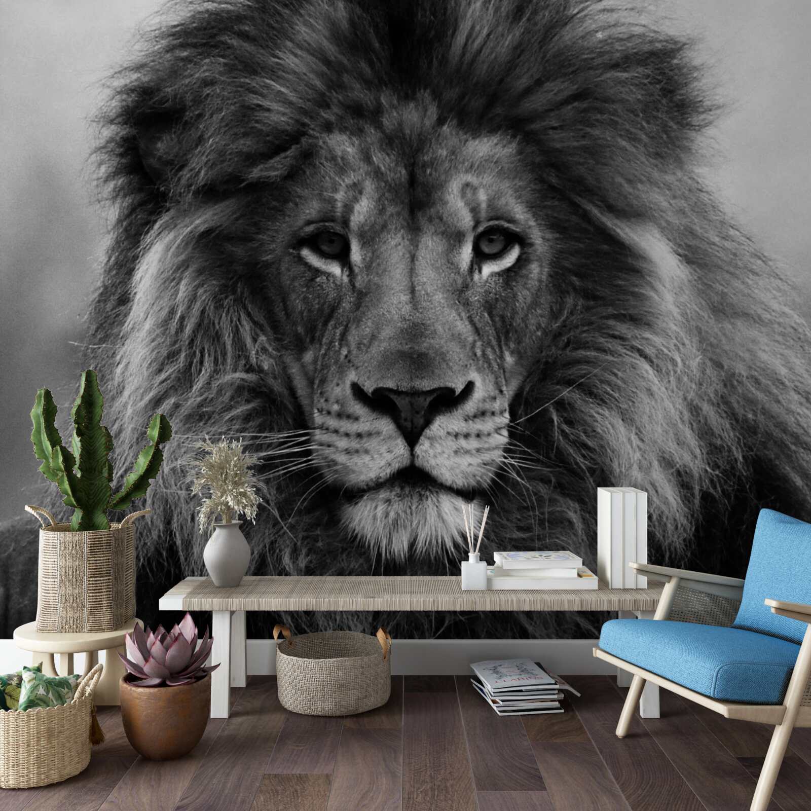 Fototapeta obraz dospelého leva