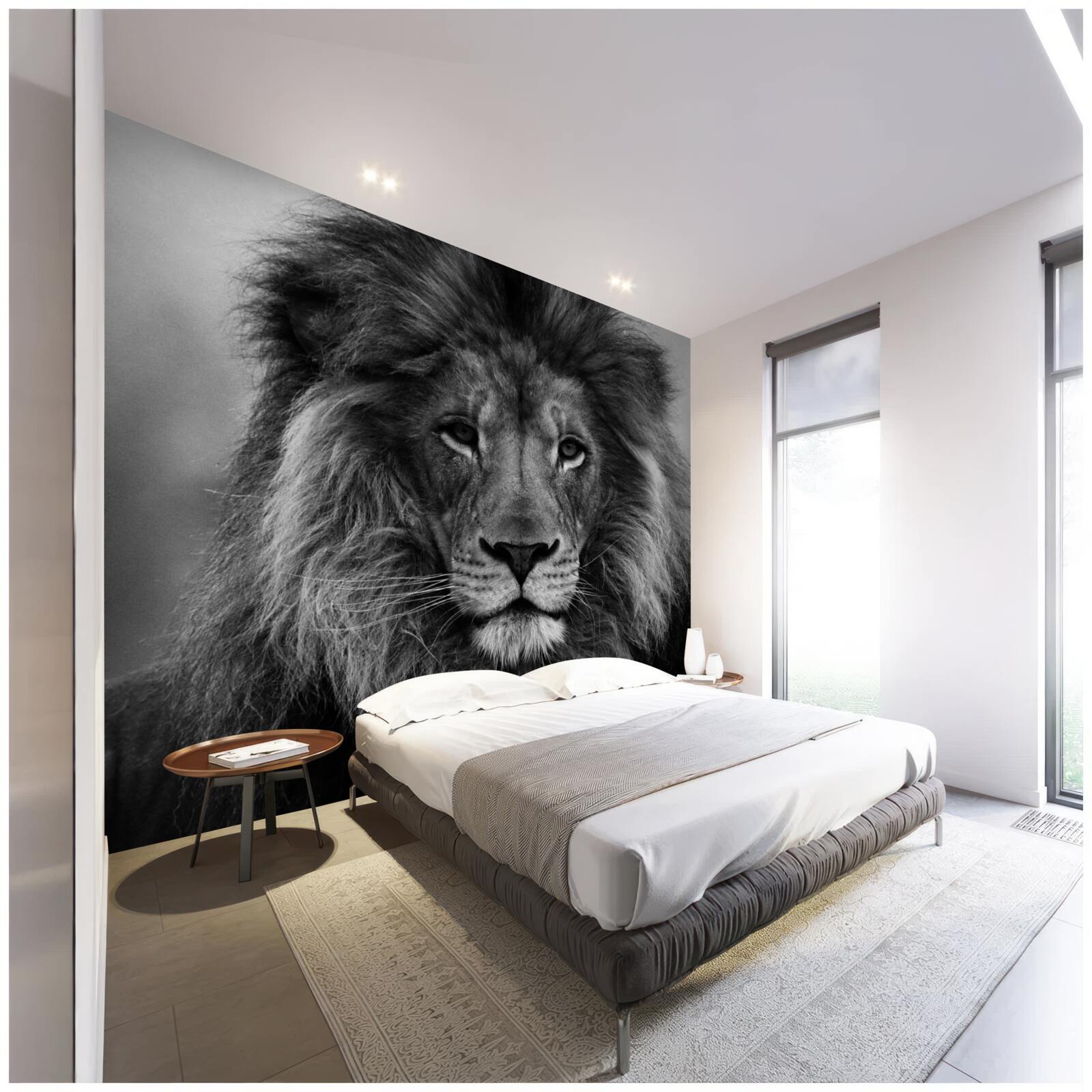 Fototapeta obraz dospelého leva