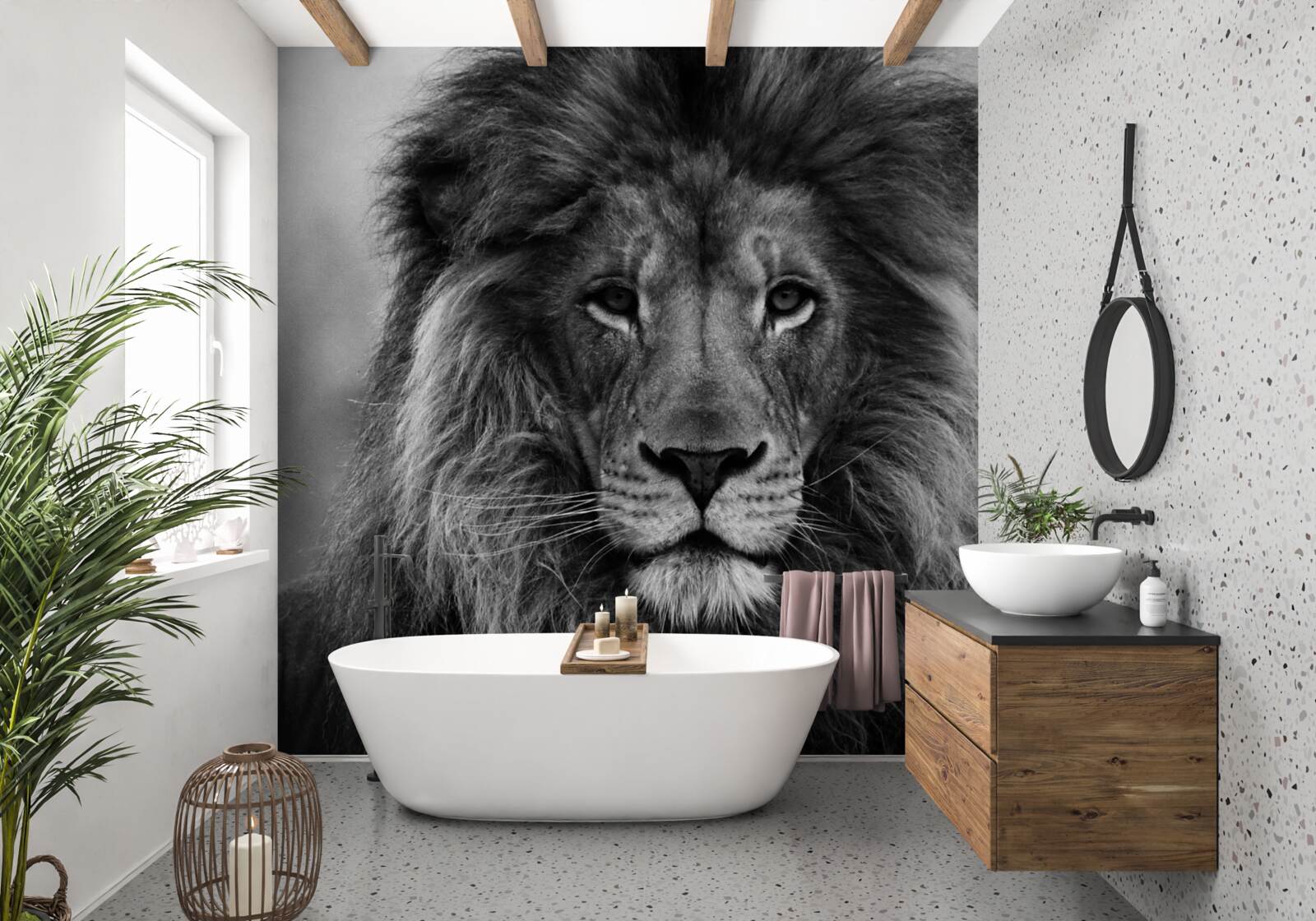 Fototapeta obraz dospelého leva