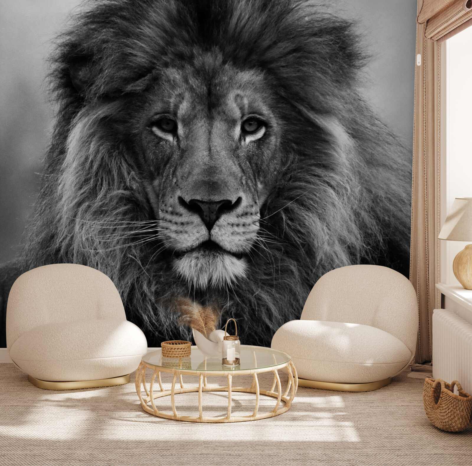 Fototapeta obraz dospelého leva