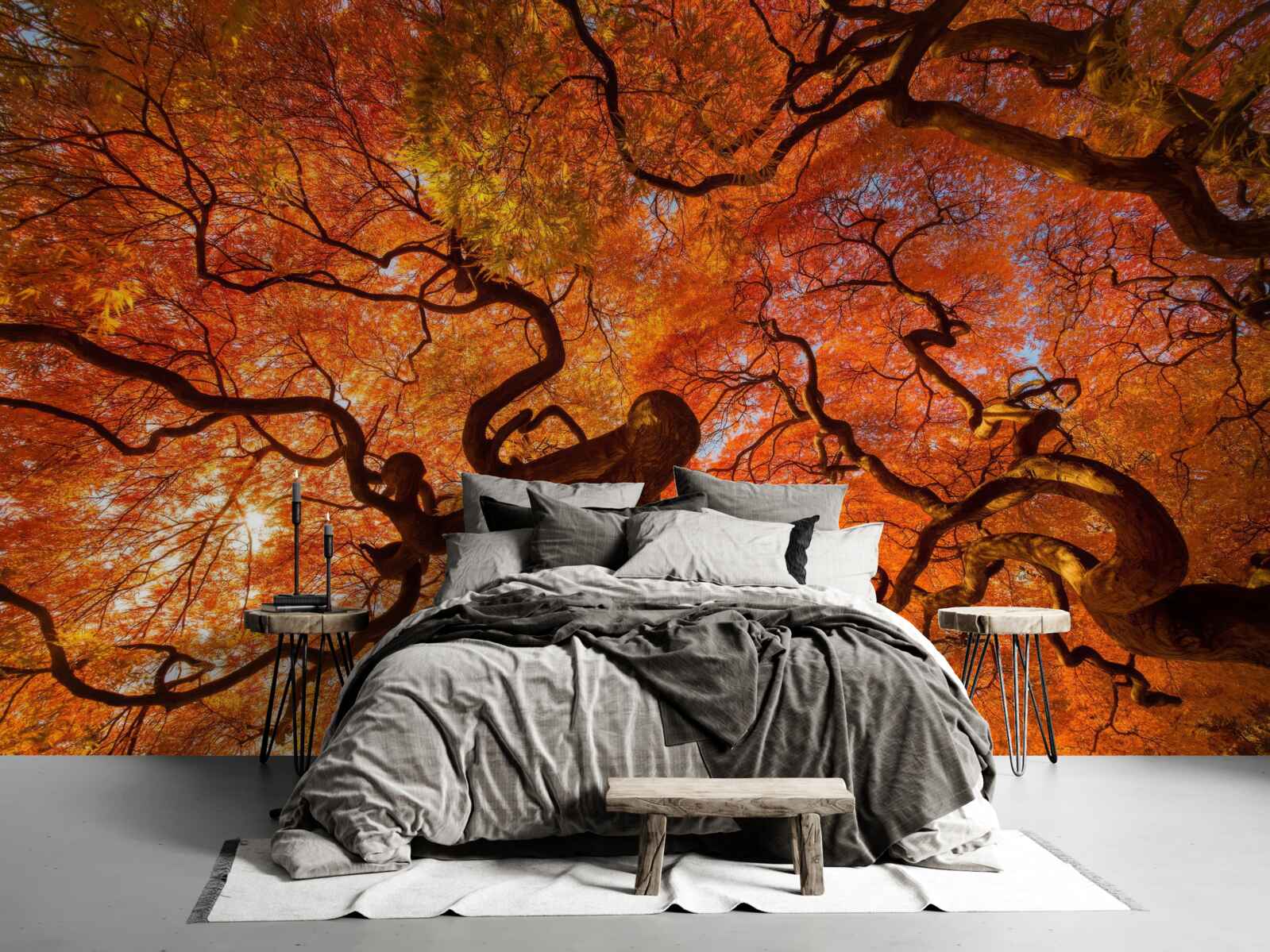 Fototapeta pohľad zdola na strom na jeseň