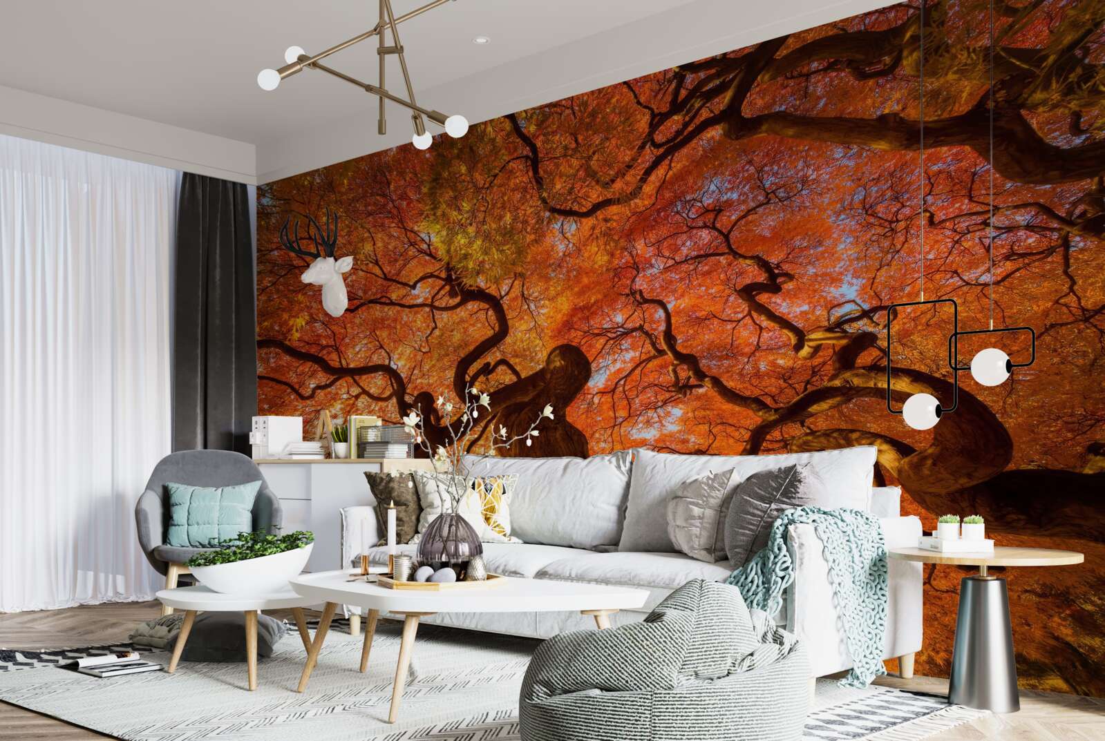 Fototapeta pohľad zdola na strom na jeseň