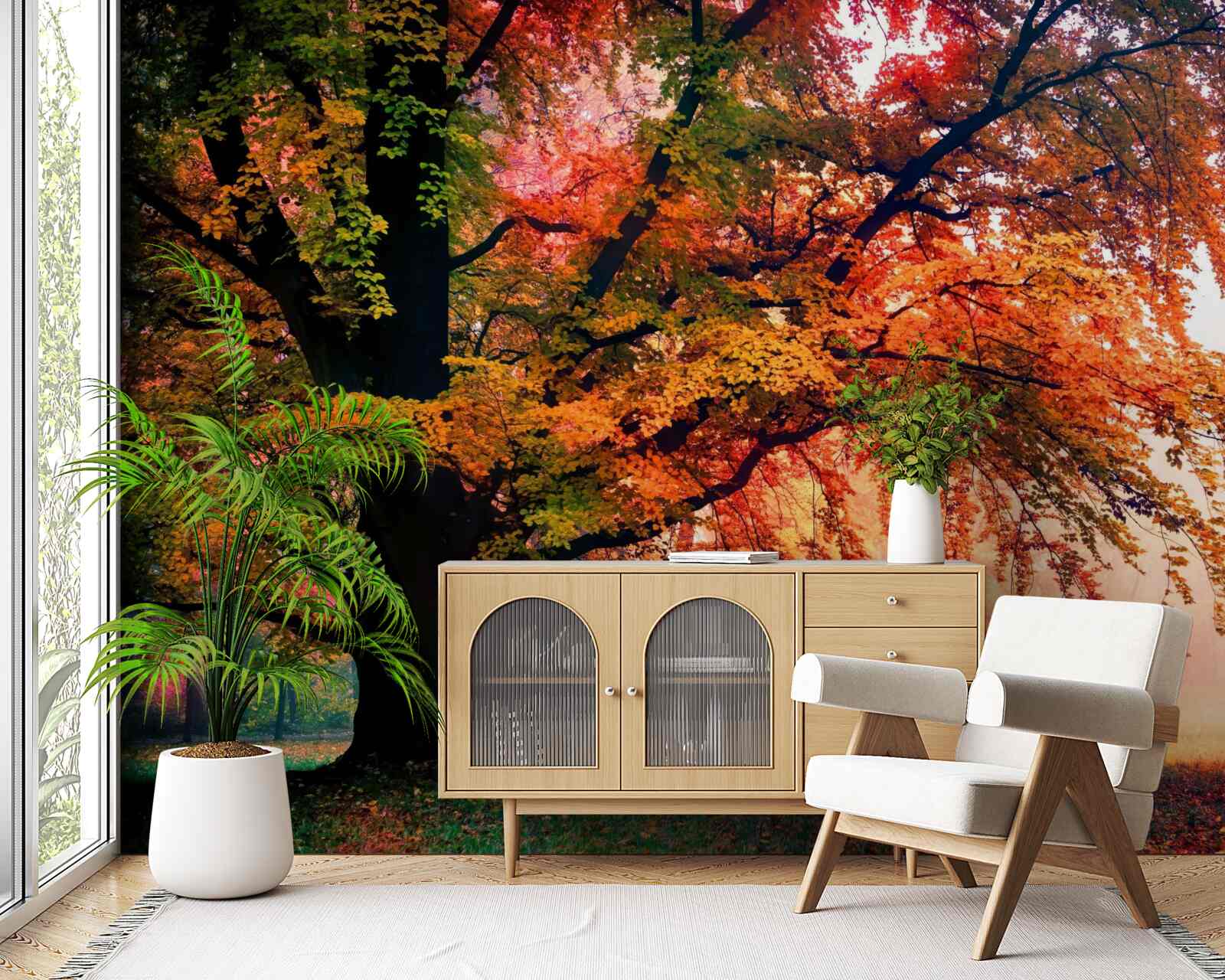 Fototapeta les zahalený jesennou hmlou