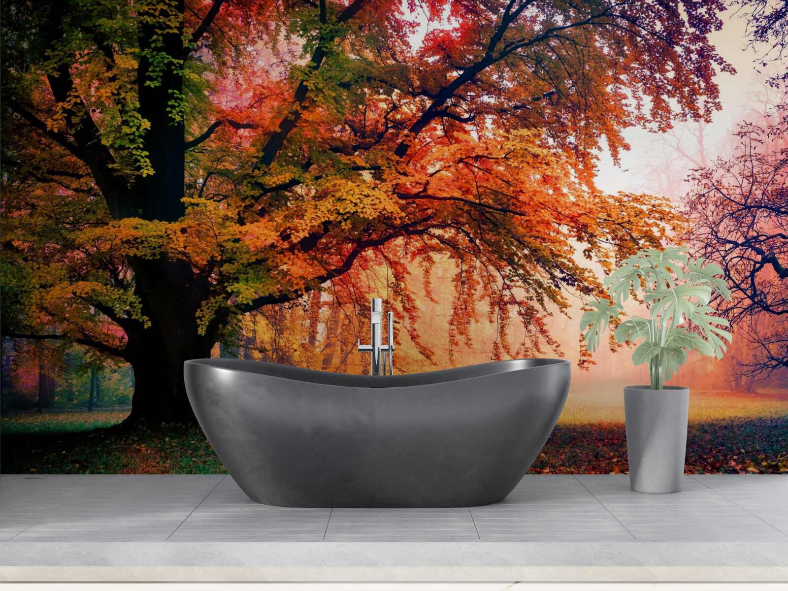 Fototapeta les zahalený jesennou hmlou