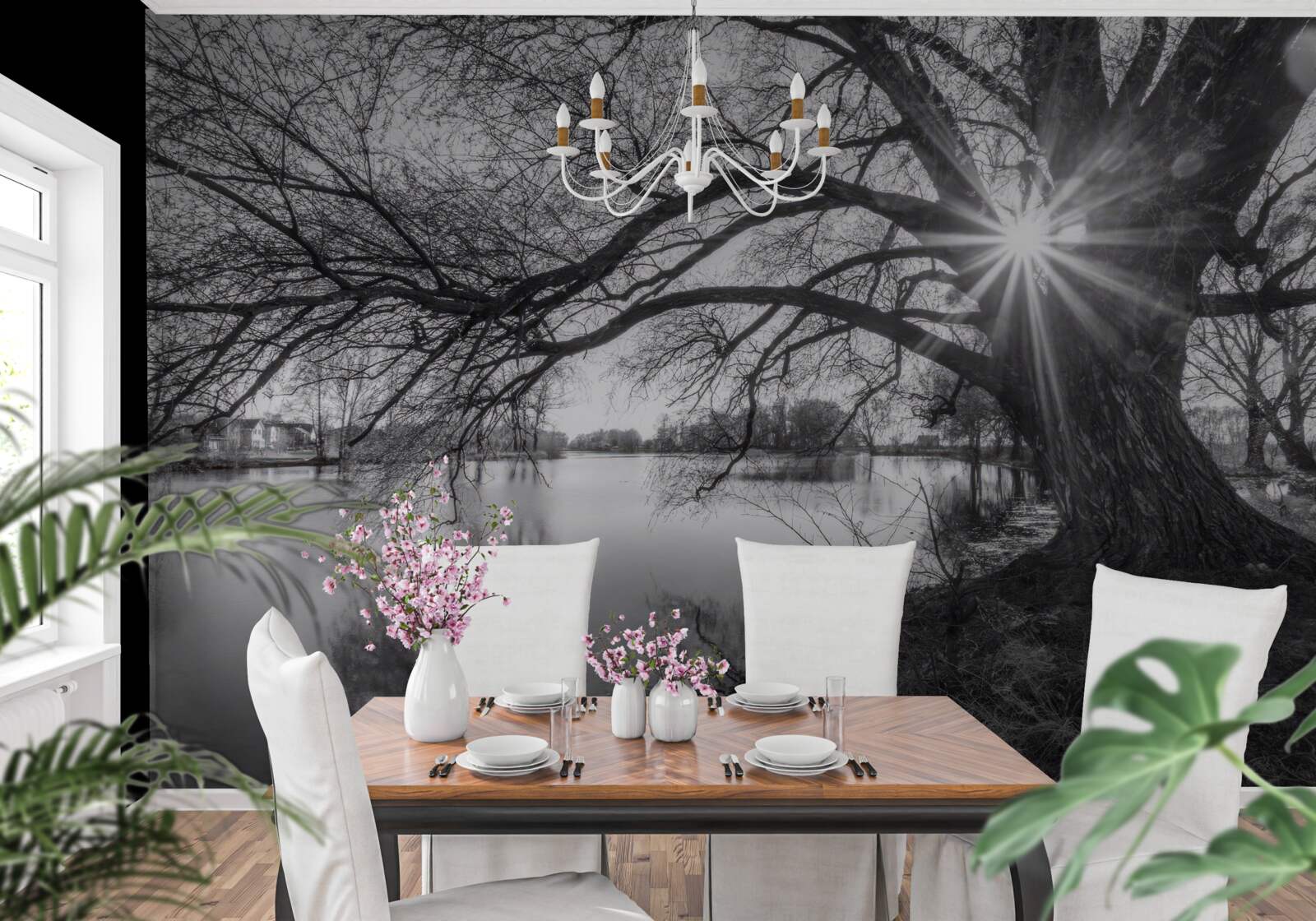 Fototapeta cez konáre stromu pri vode presvitá slnečný lúč