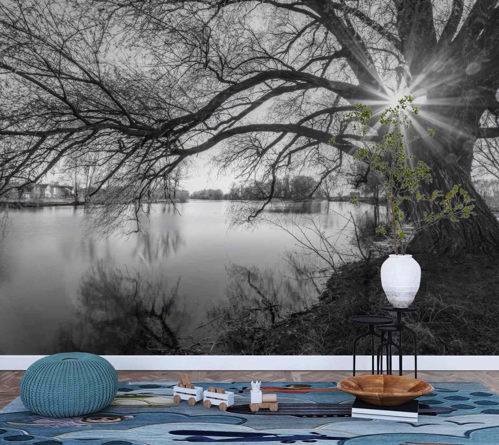 Fototapeta cez konáre stromu pri vode presvitá slnečný lúč