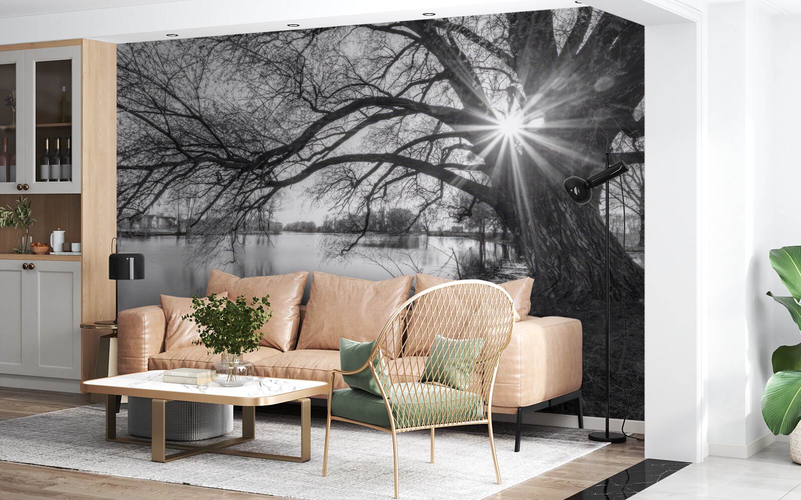 Fototapeta cez konáre stromu pri vode presvitá slnečný lúč