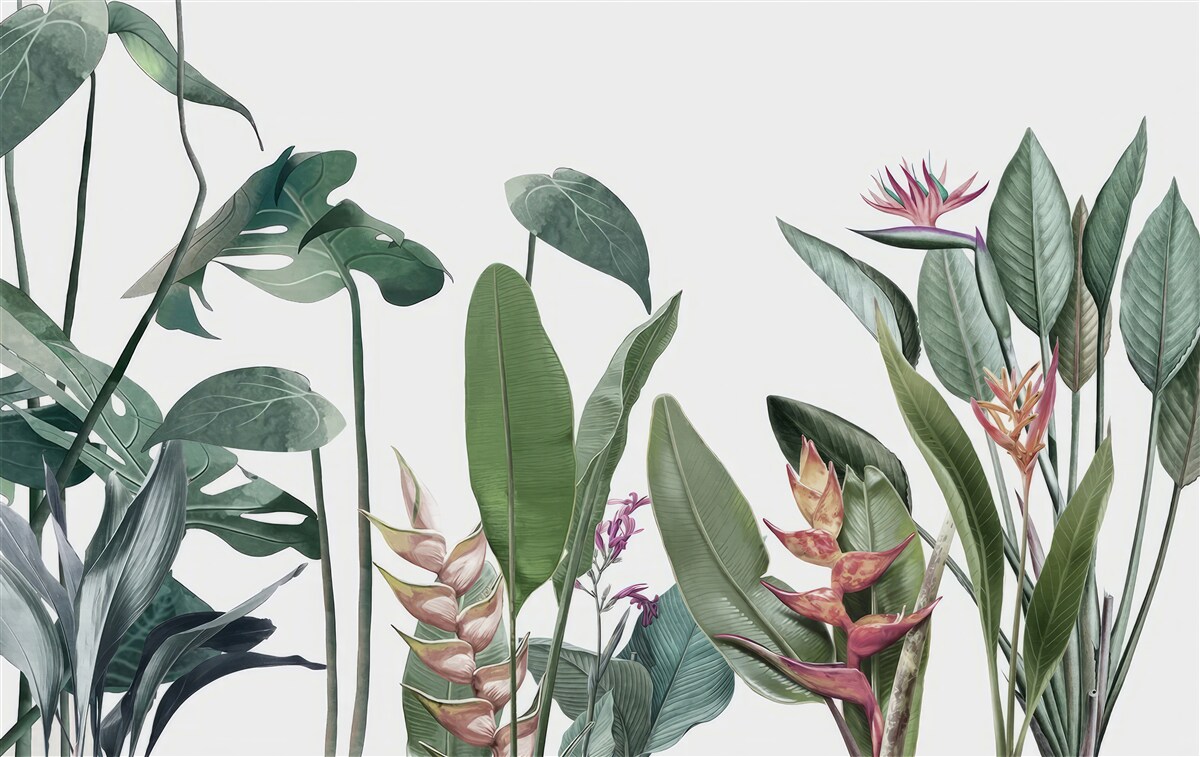 Fototapeta listy rôznych tropických rastlín