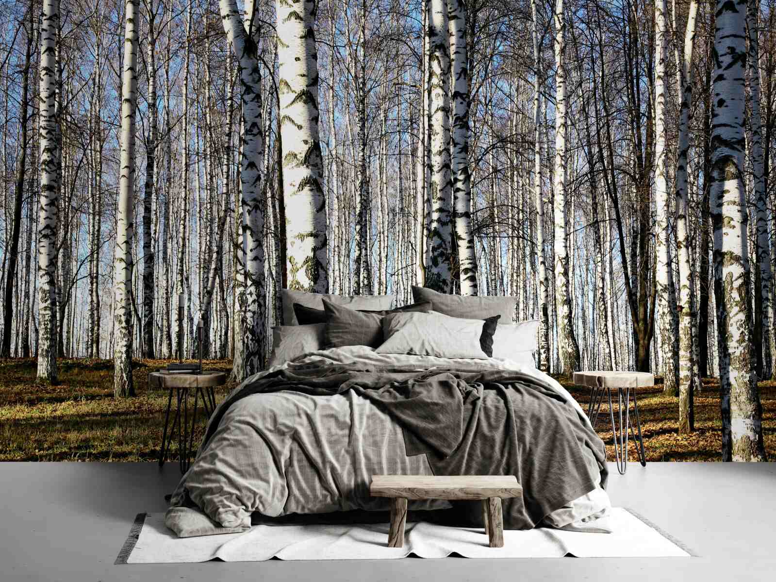 Fototapeta listy padali zo stromov