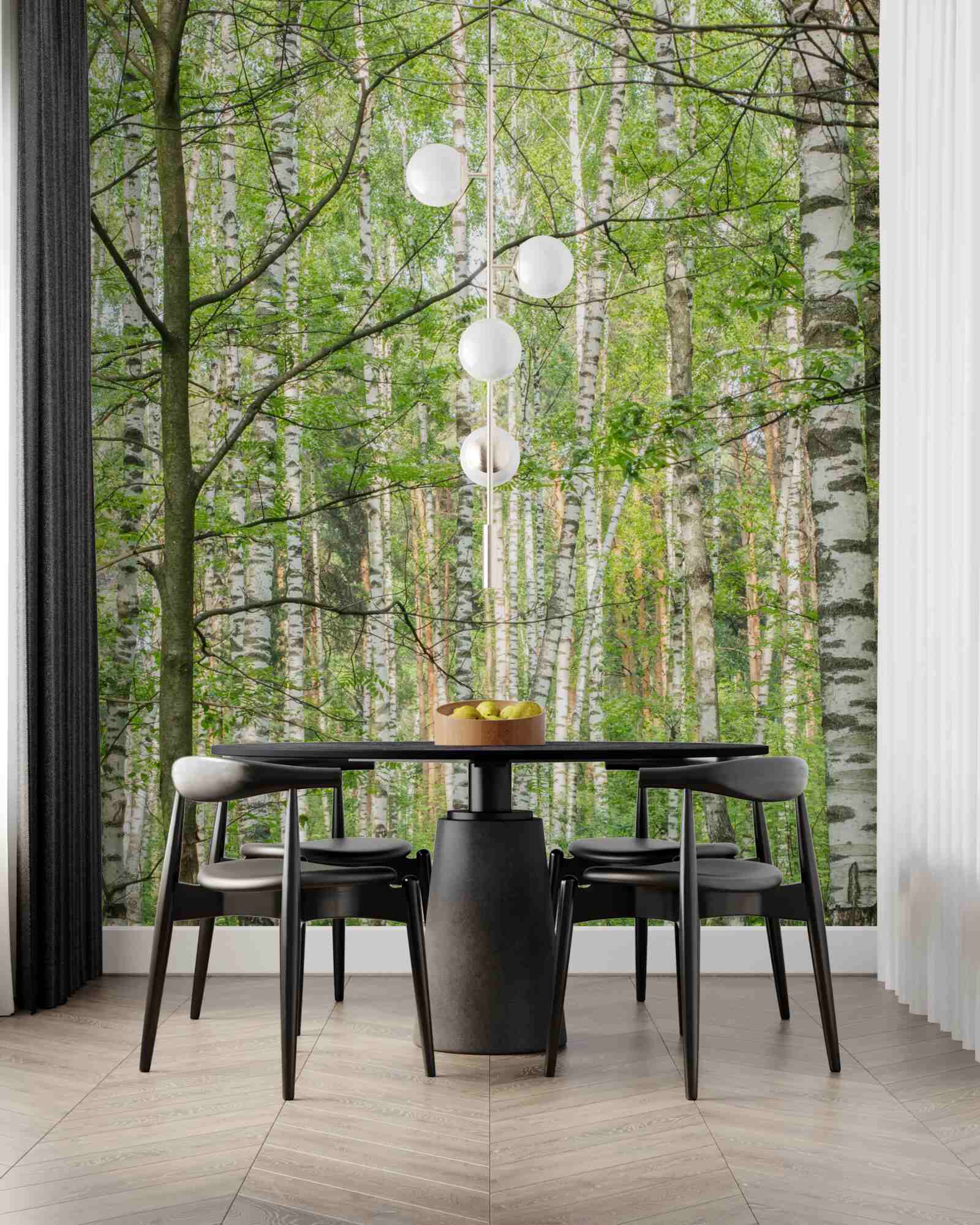 Fototapeta les husto pokrytý brezami