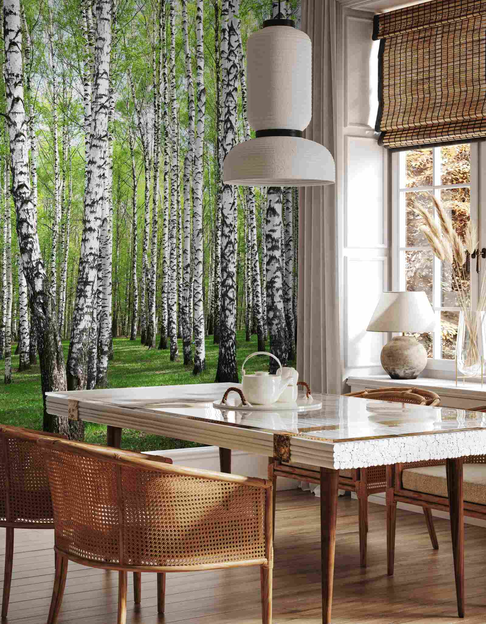 Fototapeta krásny brezový les